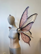 Rose Pink Fairy Wings