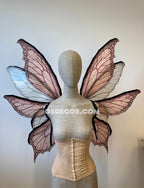 Rose Pink Fairy Wings