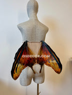 Orange Butterfly Fairy Wings
