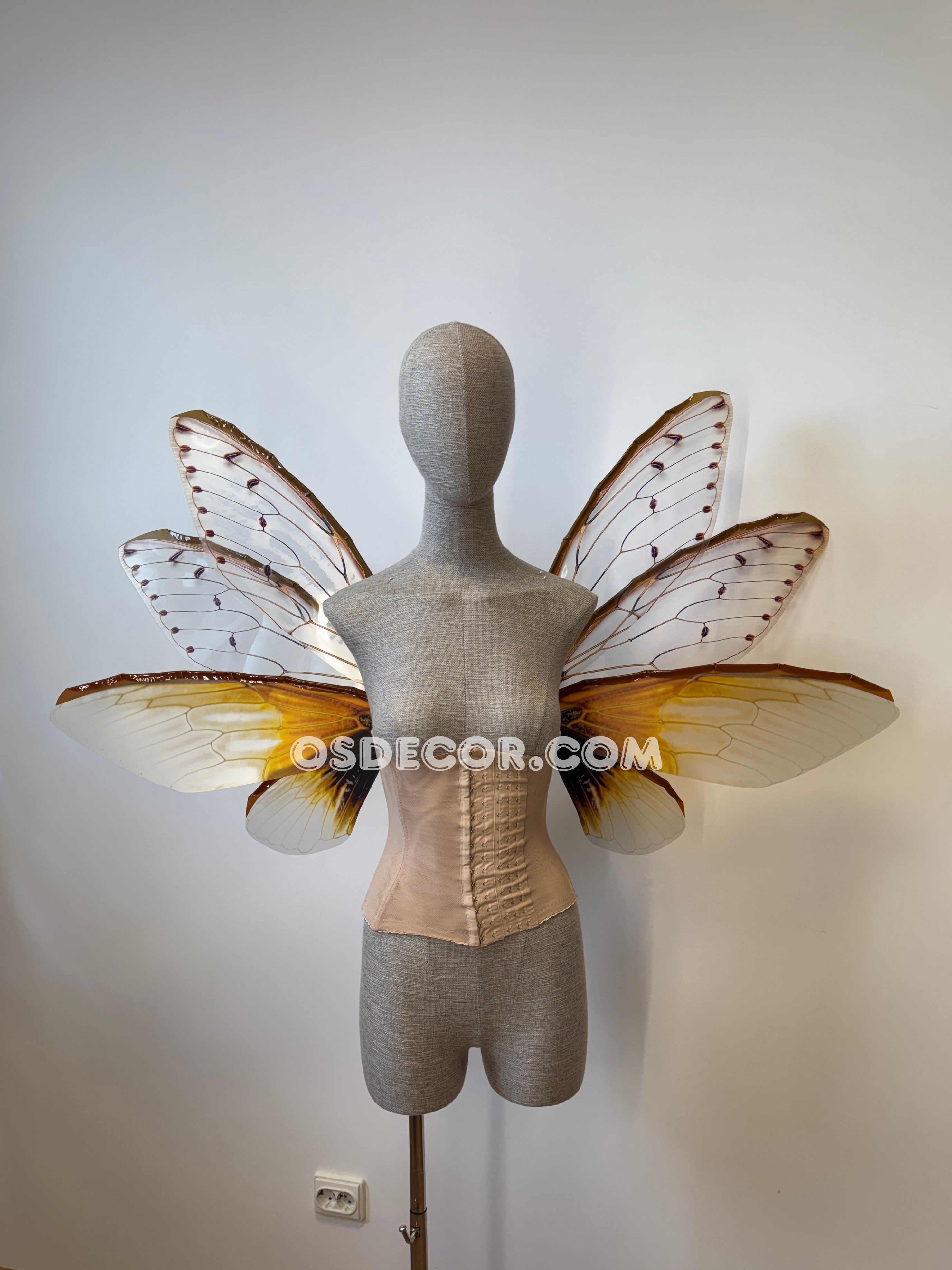 Brown Cicada Fairy Wings