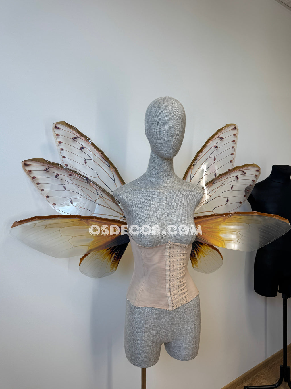 Brown Cicada Fairy Wings