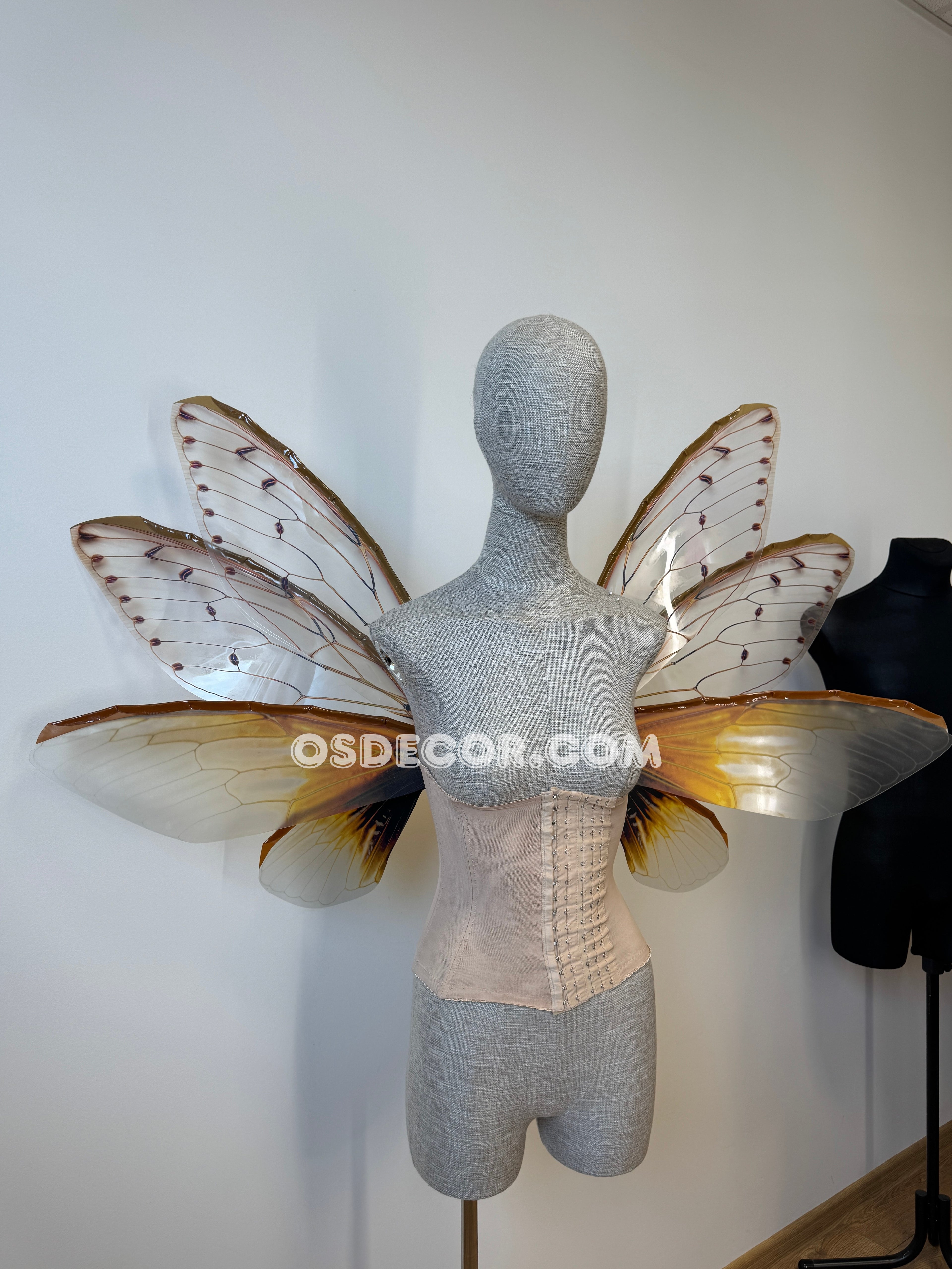 Brown Cicada Fairy Wings