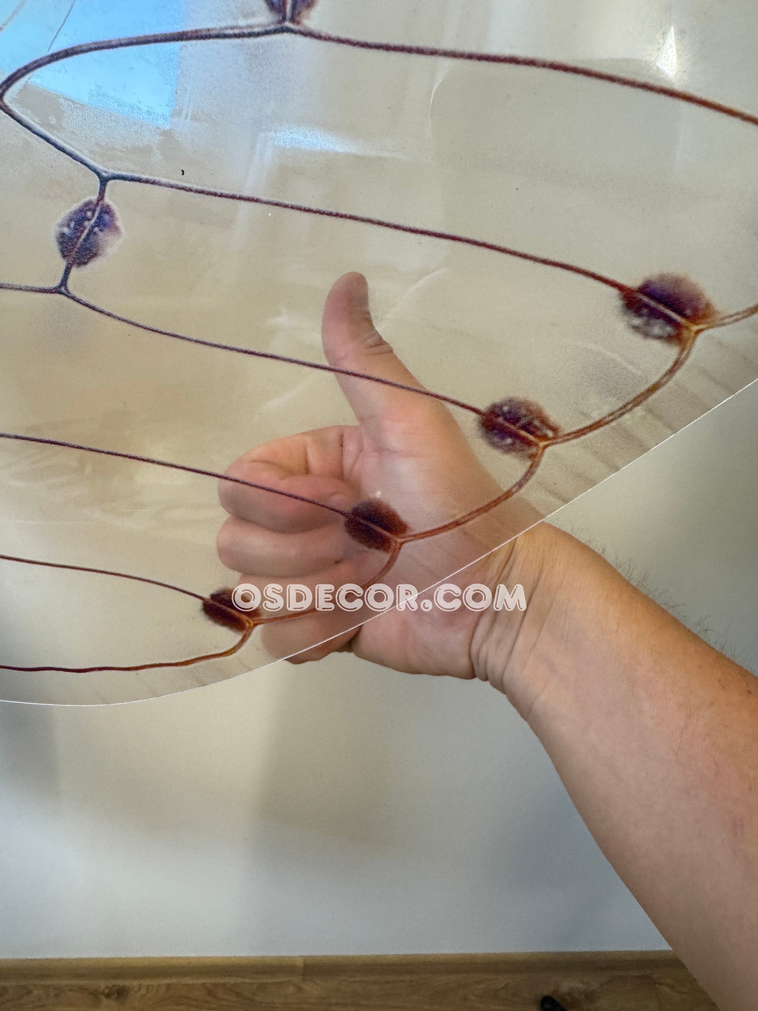 Brown Cicada Fairy Wings