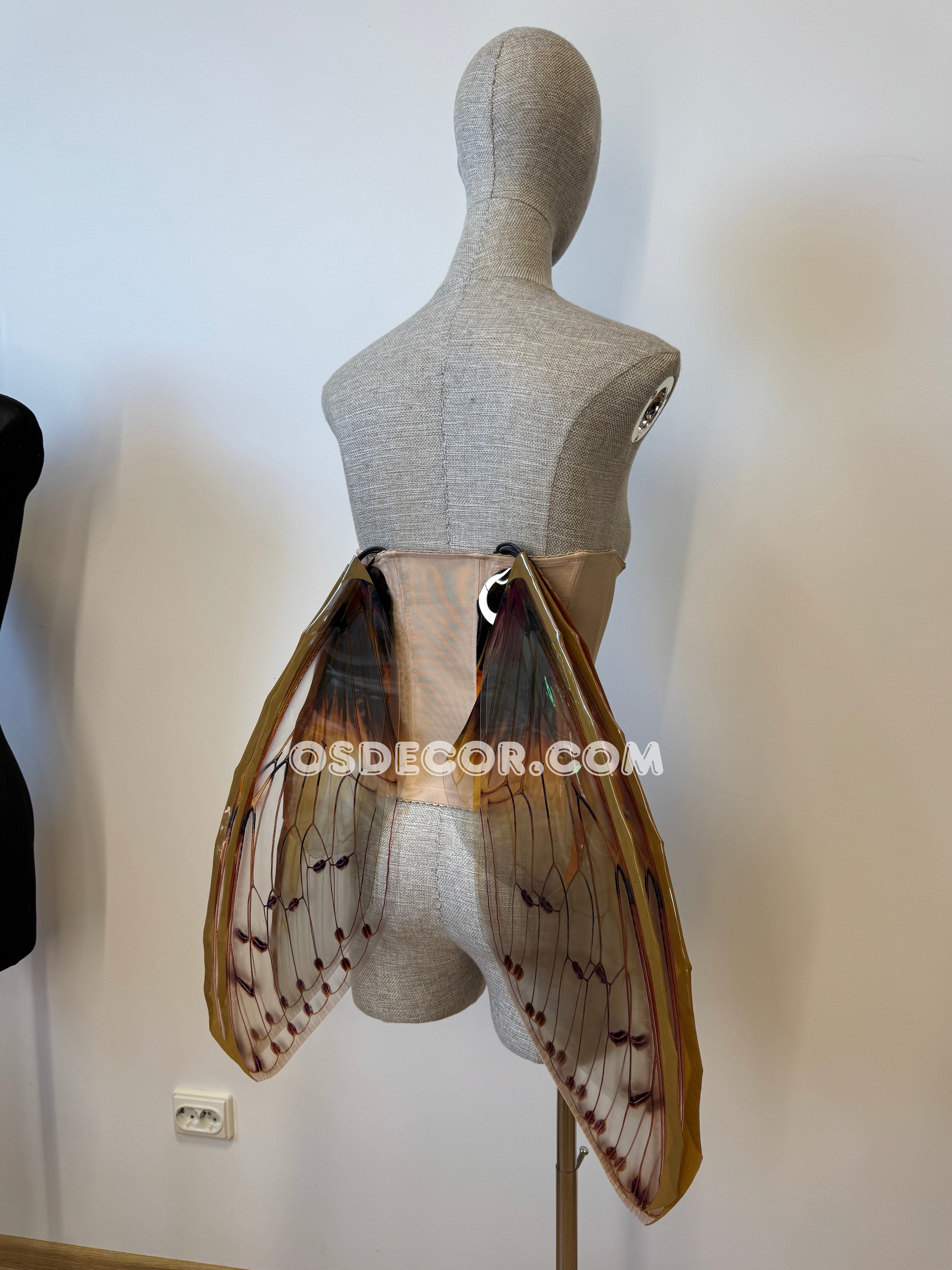 Brown Cicada Fairy Wings