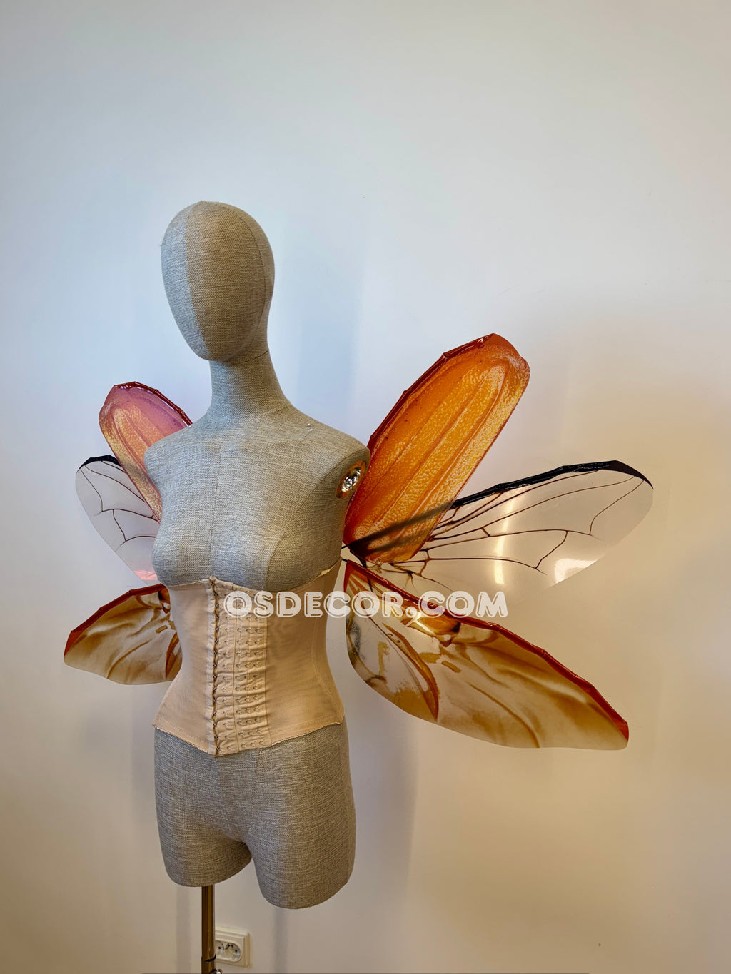 May Bug Chafer Wings