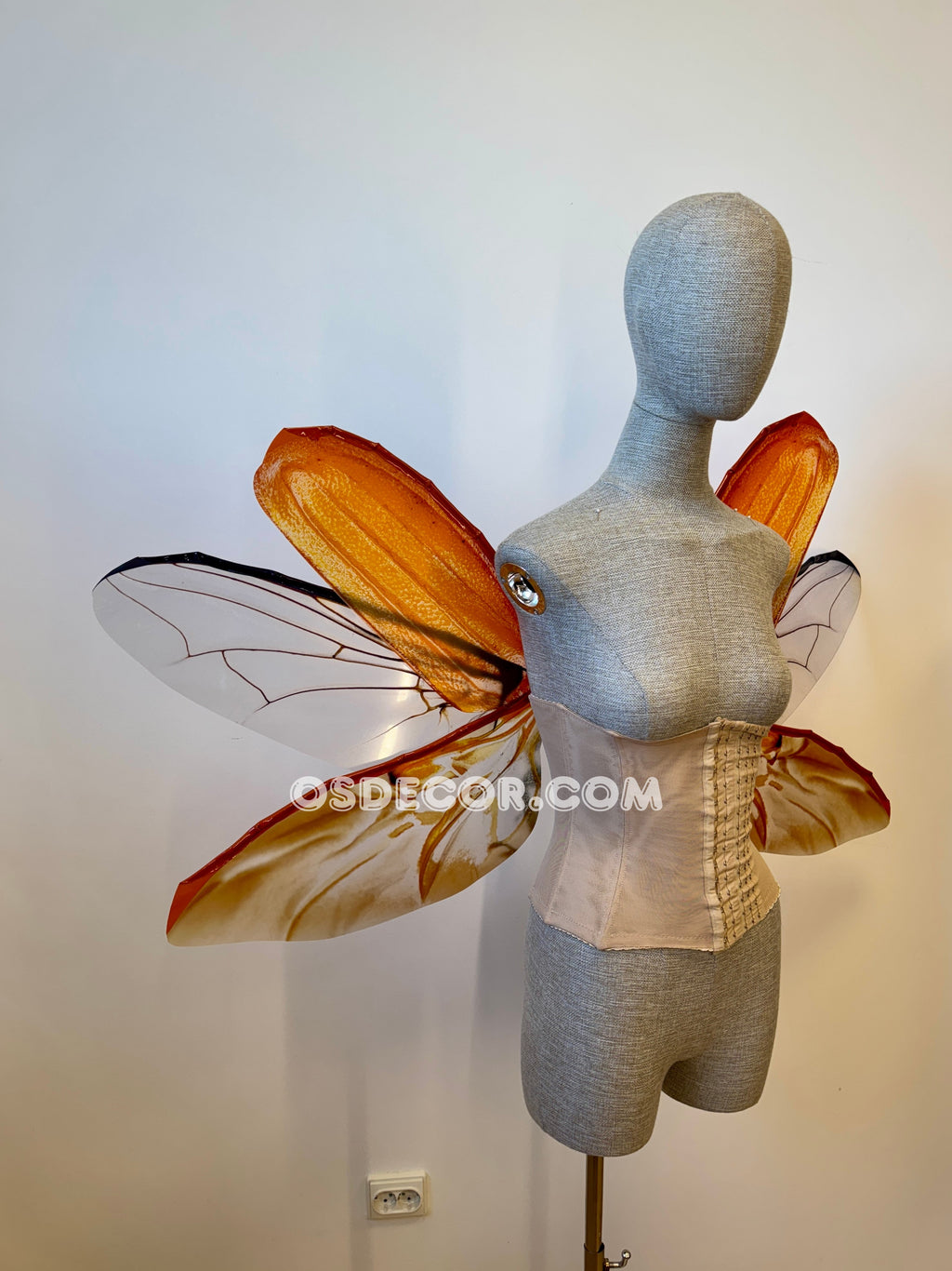 May Bug Chafer Wings