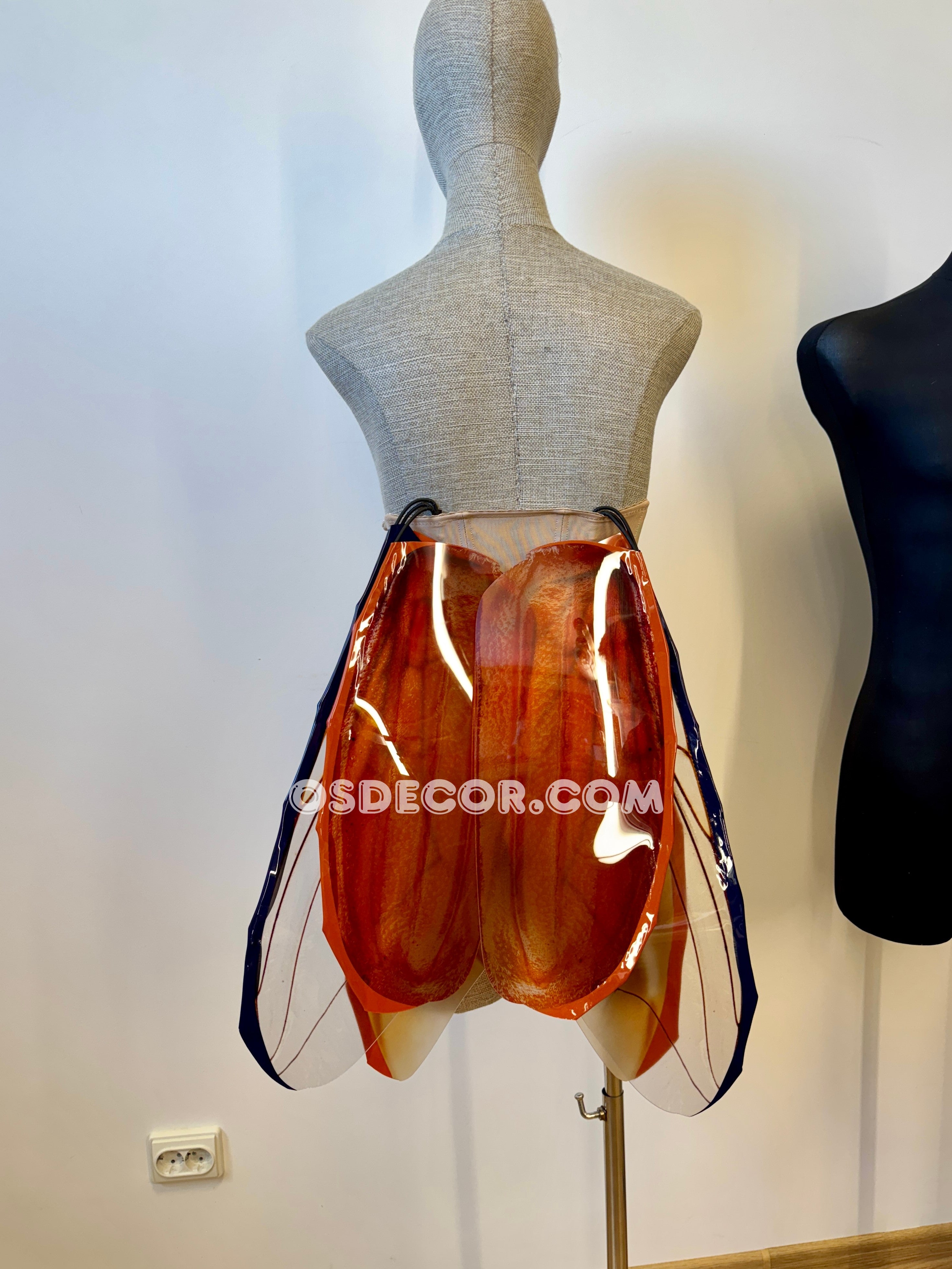 May Bug Chafer Wings