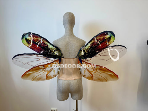 Golden Bronze Beetle Wings