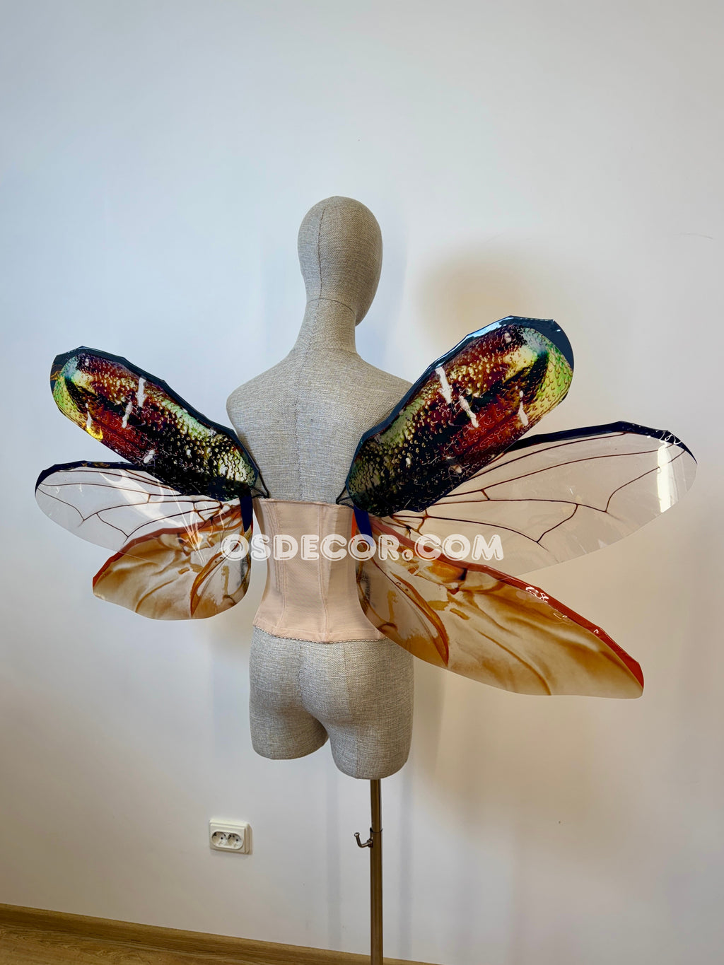 Golden Bronze Beetle Wings