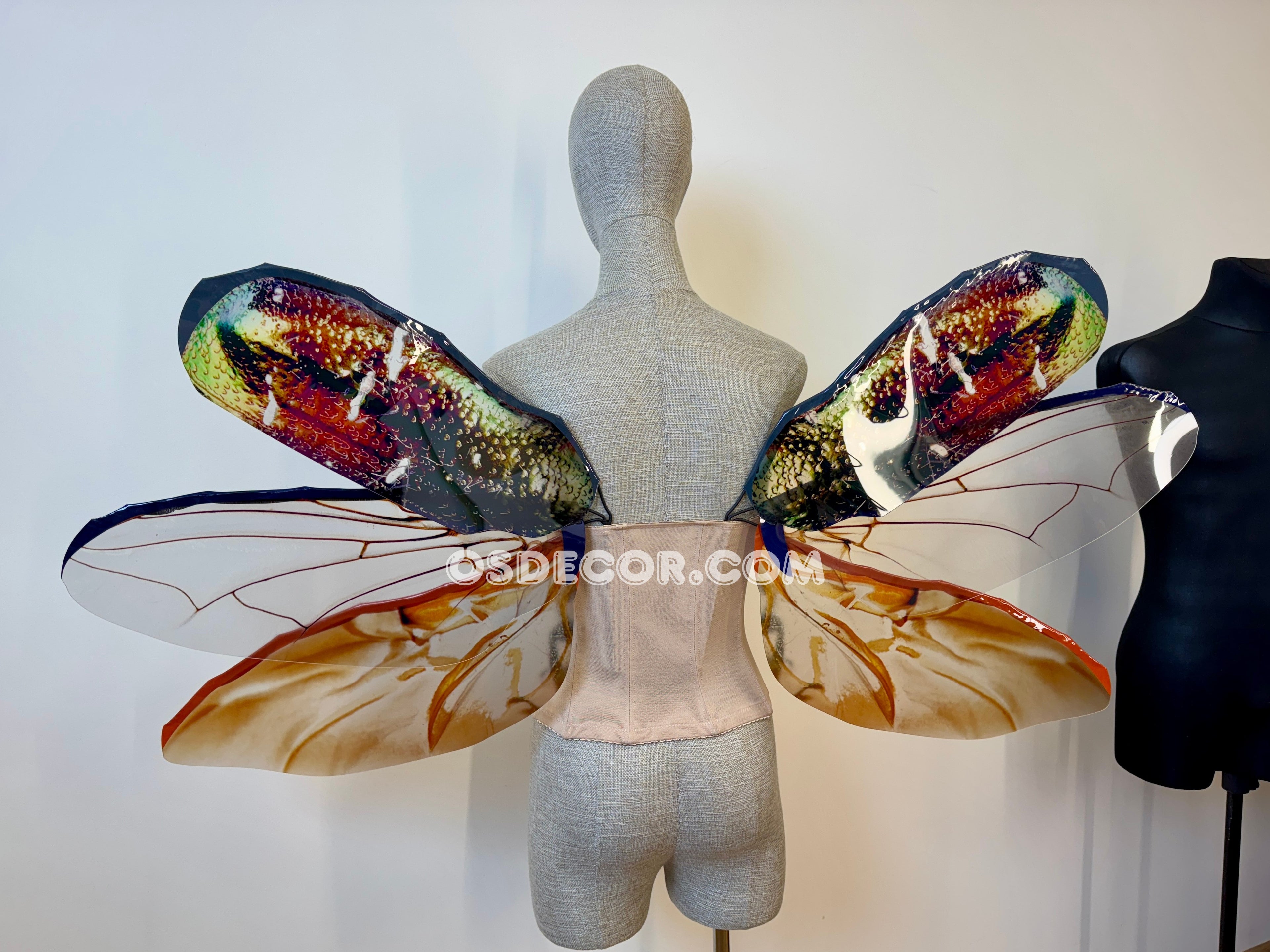 Golden Bronze Beetle Wings