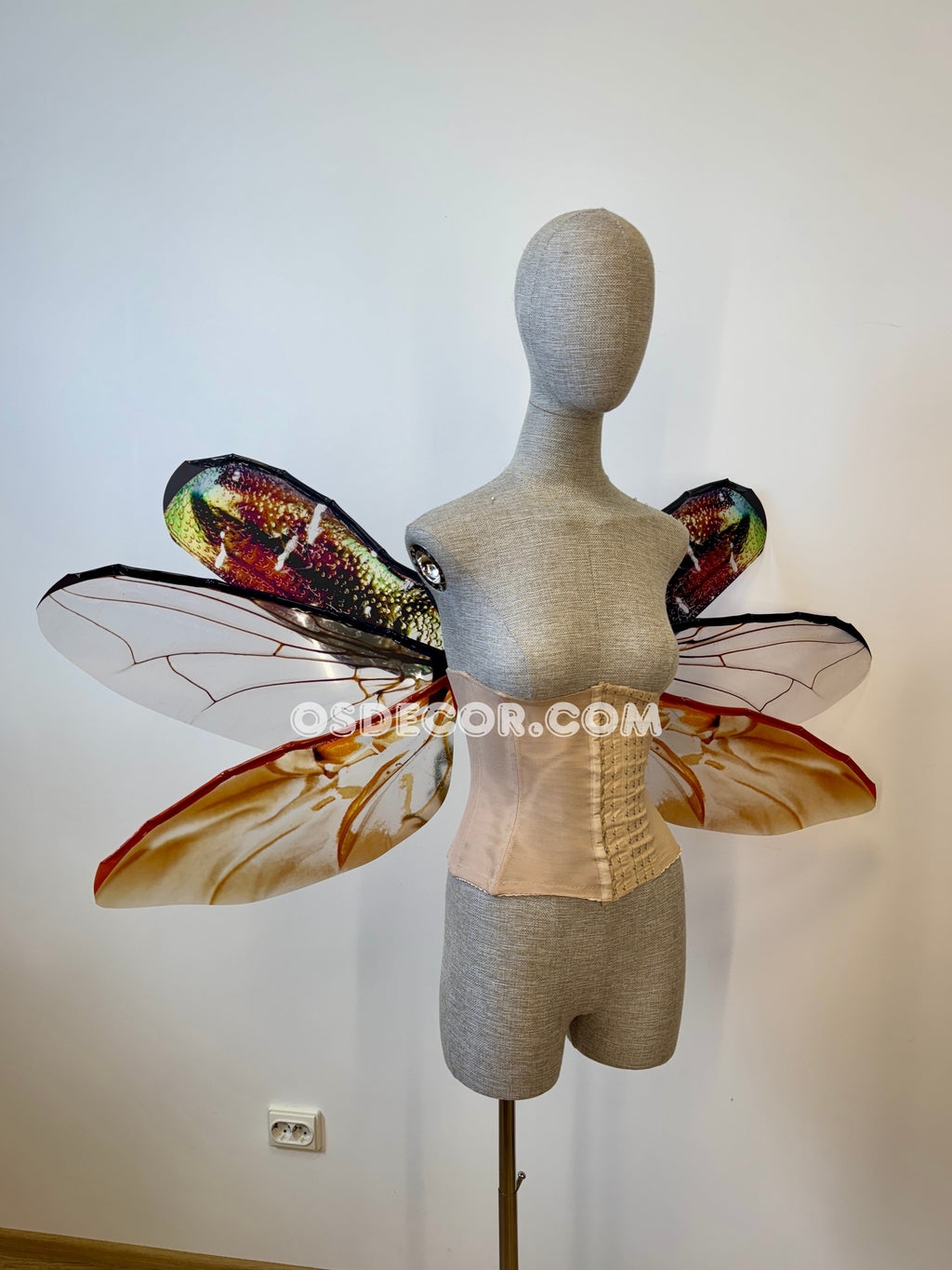 Golden Bronze Beetle Wings