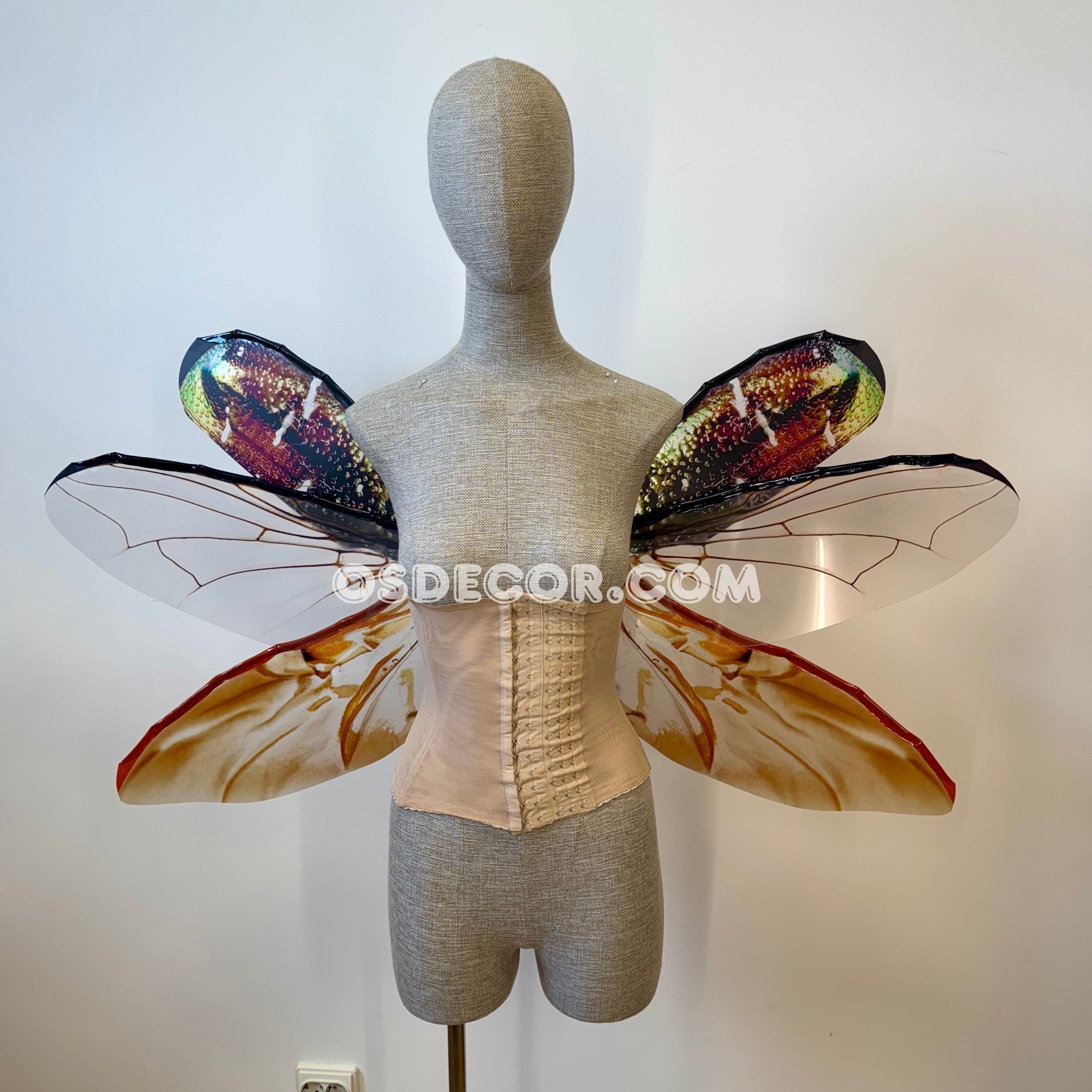 Golden Bronze Beetle Wings