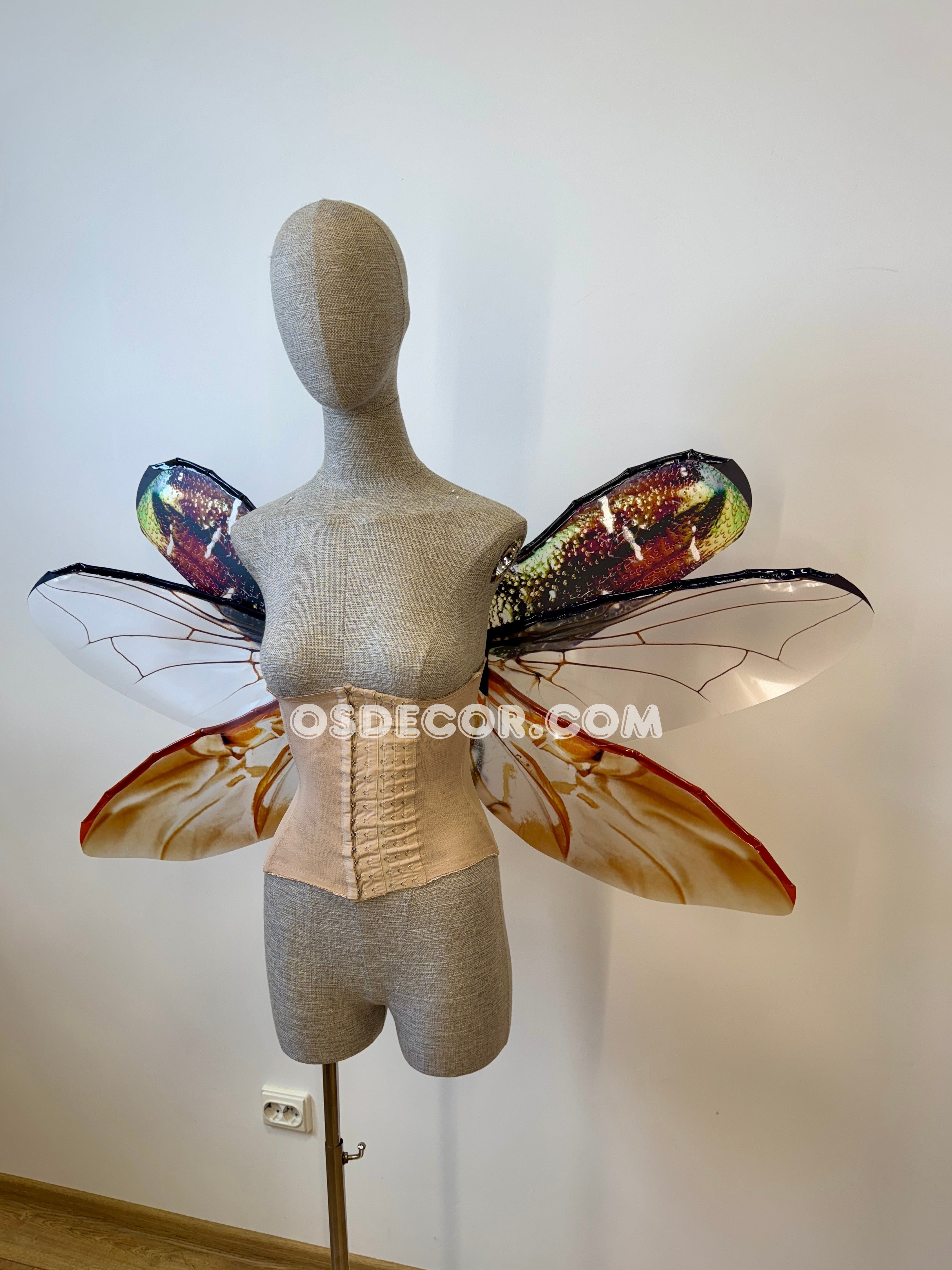 Golden Bronze Beetle Wings