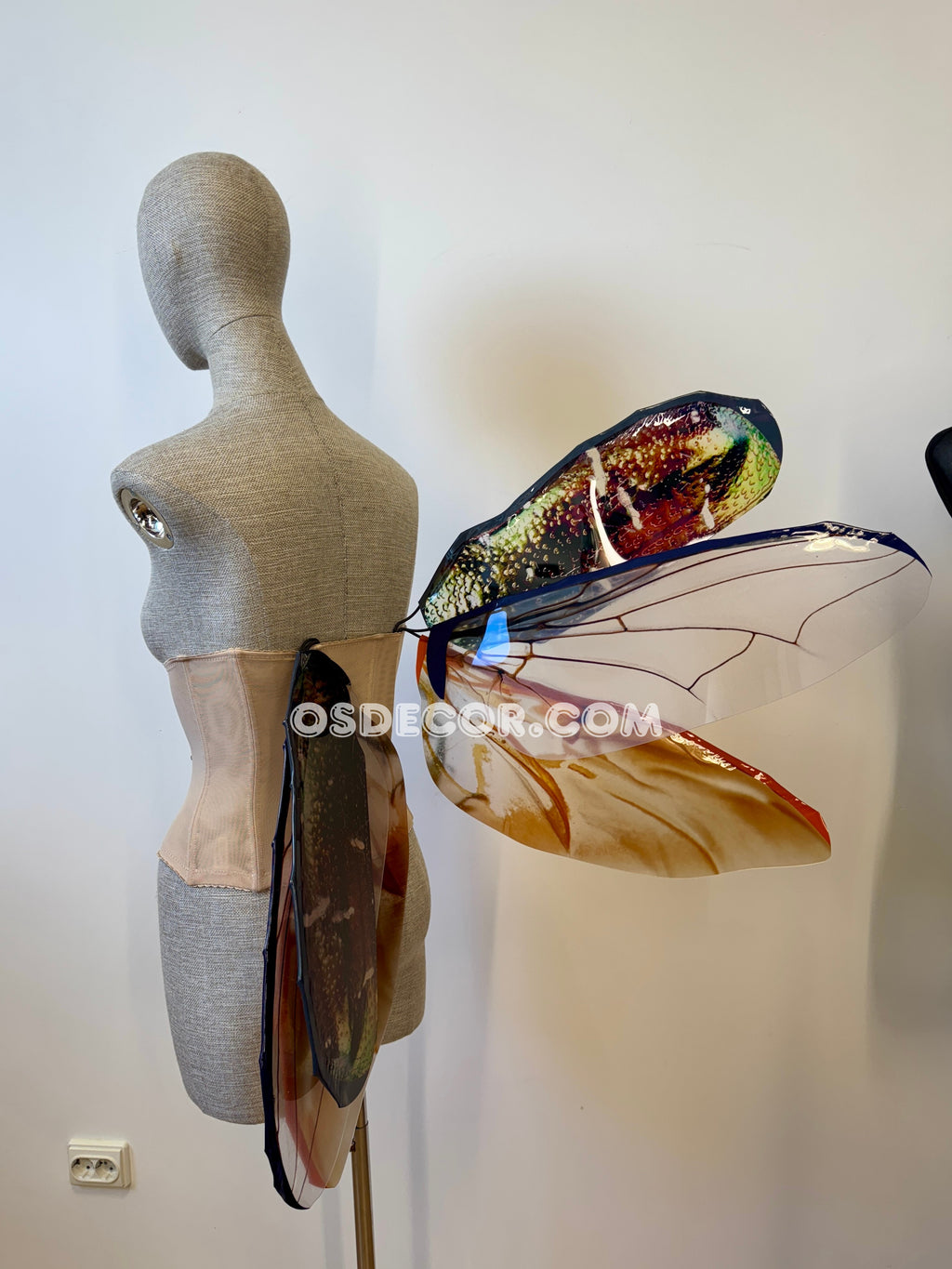 Golden Bronze Beetle Wings