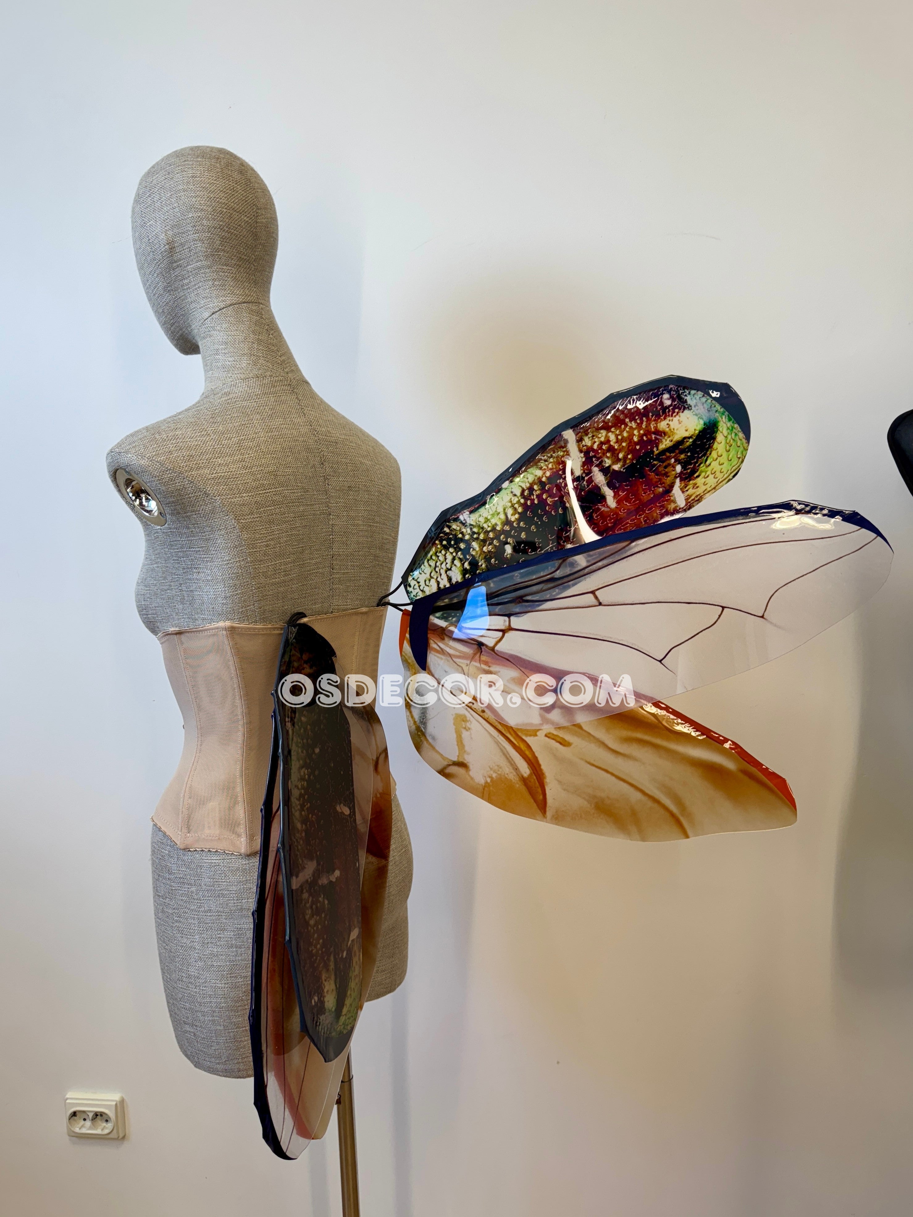 Golden Bronze Beetle Wings