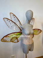 Green Cicada Fairy Wings