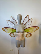 Green Cicada Fairy Wings