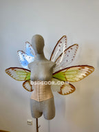 Green Cicada Fairy Wings