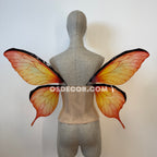 Orange Butterfly Fairy Wings