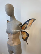 Orange Swallowtail Butterfly Fairy Wings