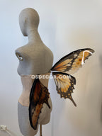 Orange Swallowtail Butterfly Fairy Wings