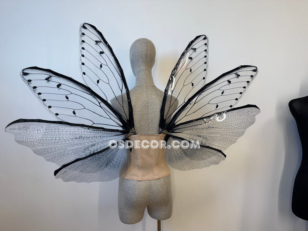 Transparent Grey Cicada Fairy Wings
