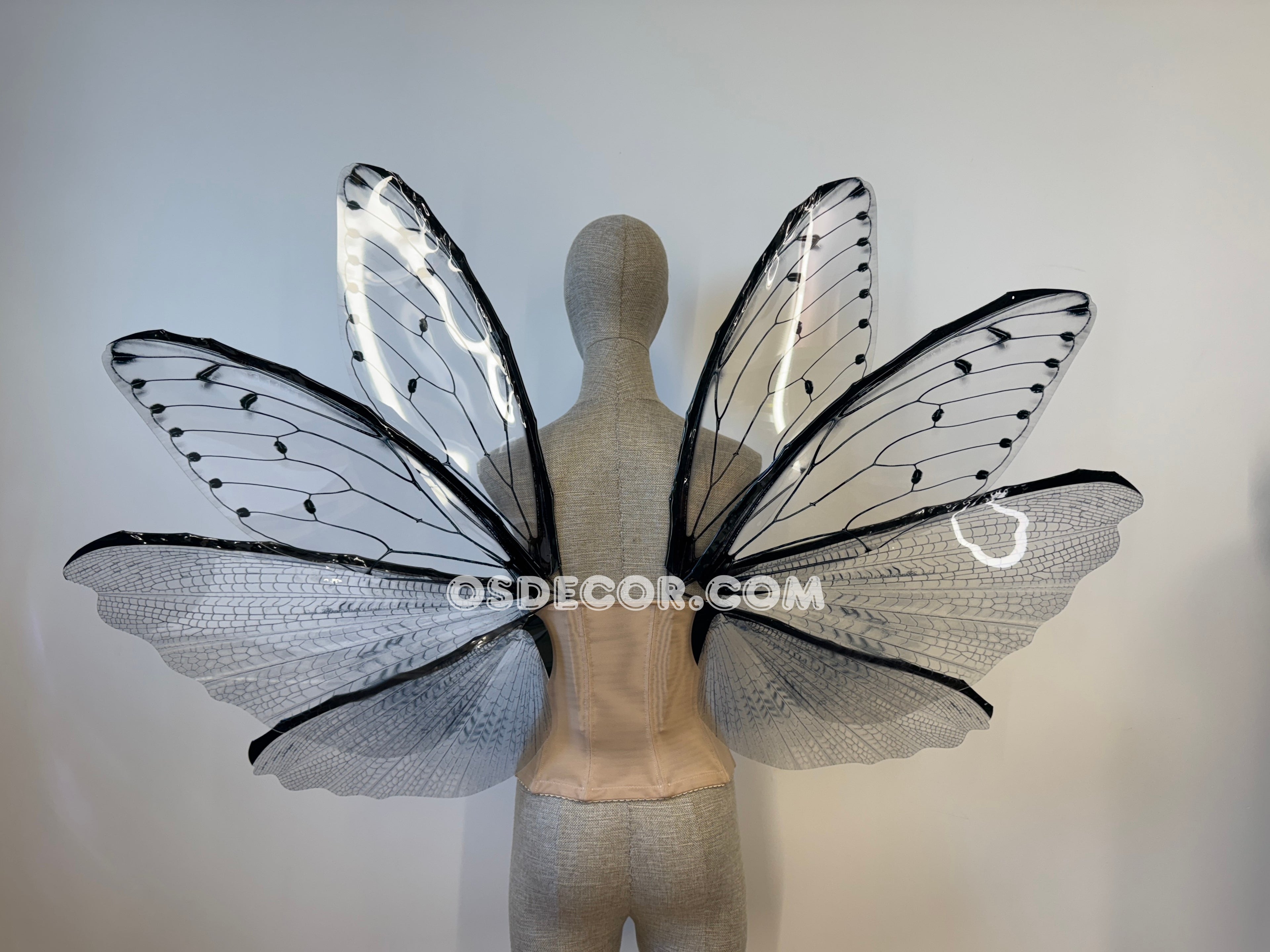 Transparent Grey Cicada Fairy Wings