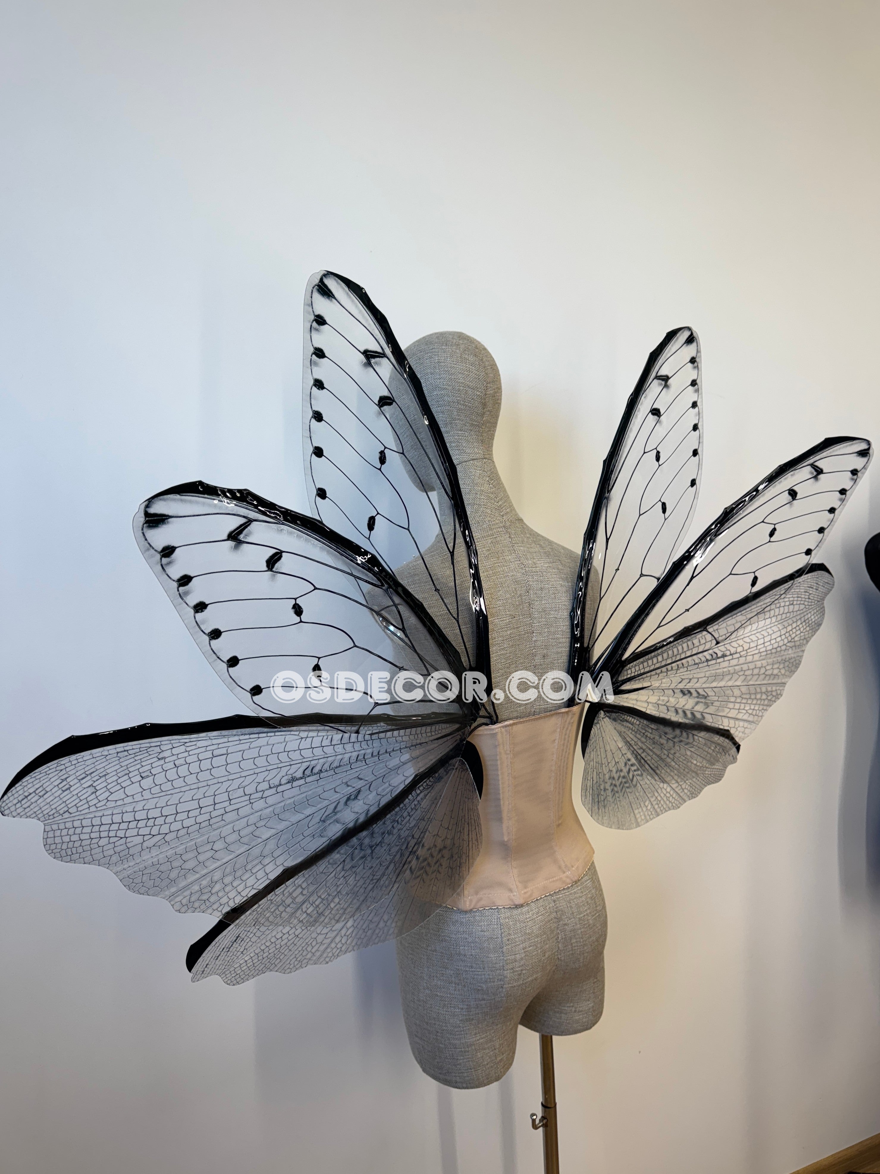 Transparent Grey Cicada Fairy Wings
