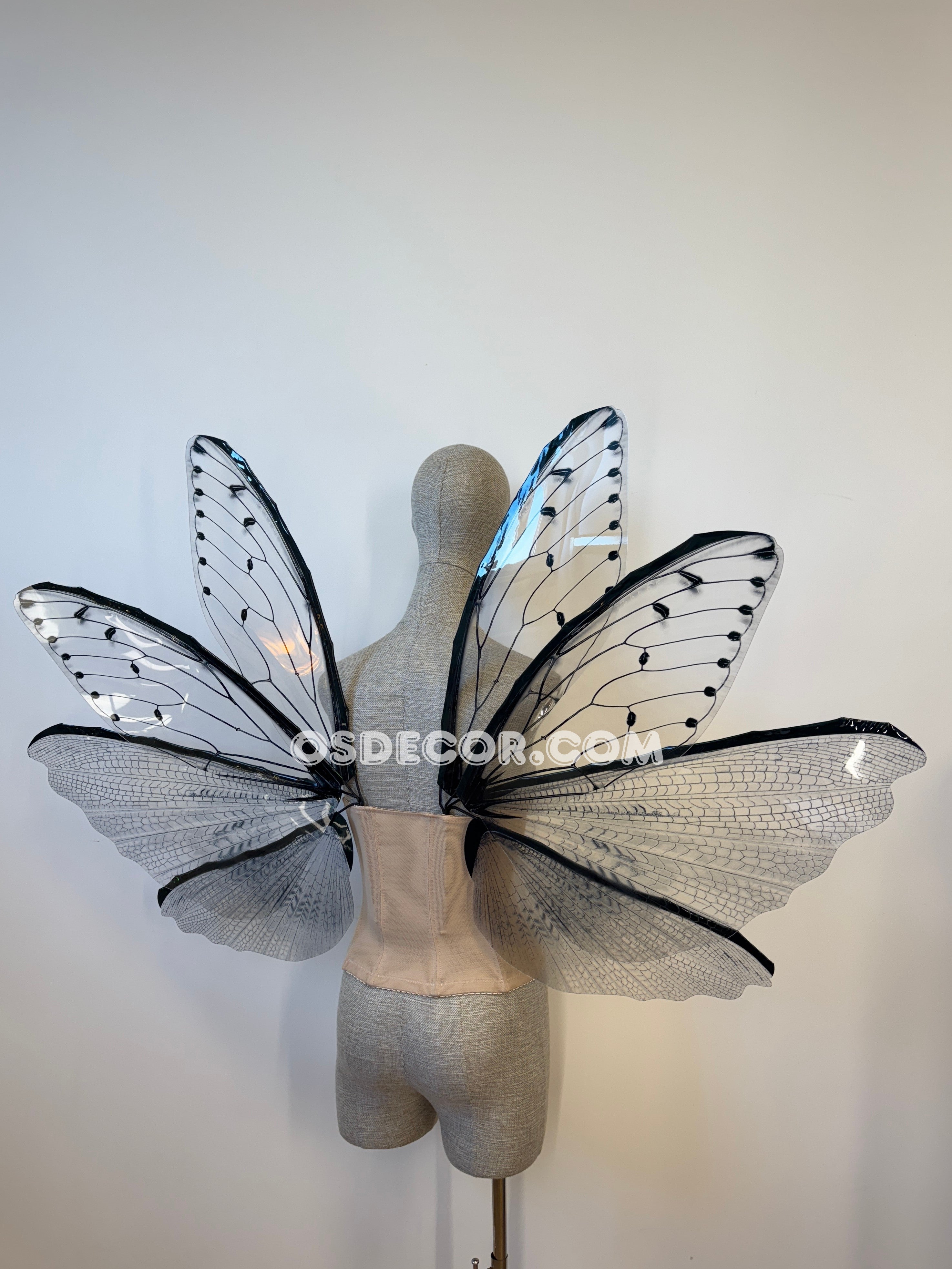 Transparent Grey Cicada Fairy Wings