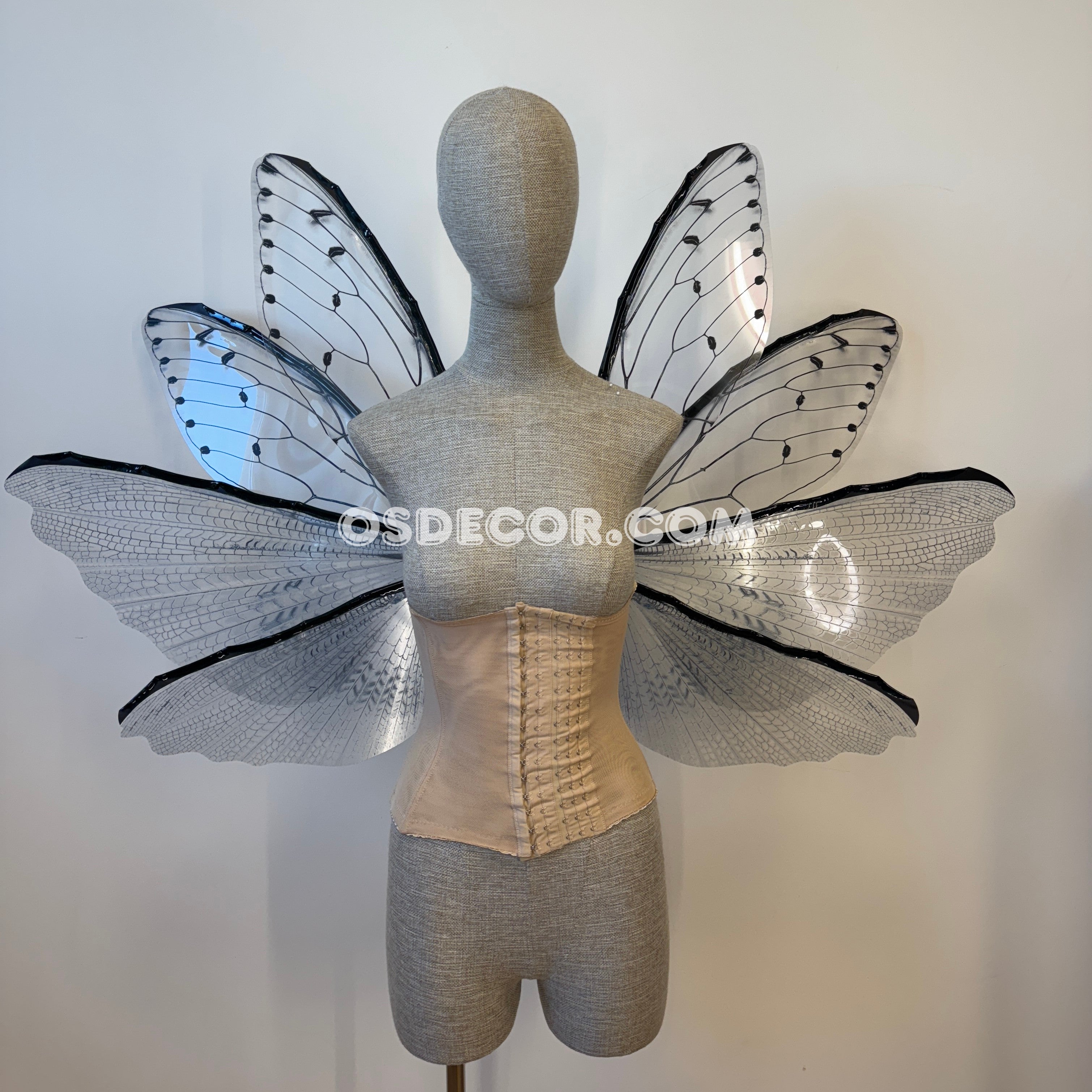 Transparent Grey Cicada Fairy Wings