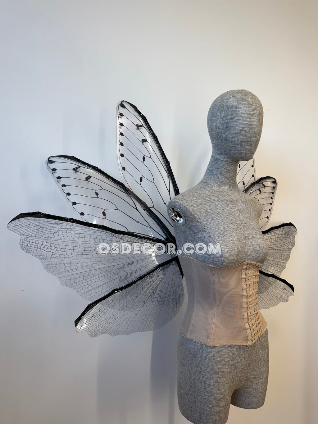 Transparent Grey Cicada Fairy Wings