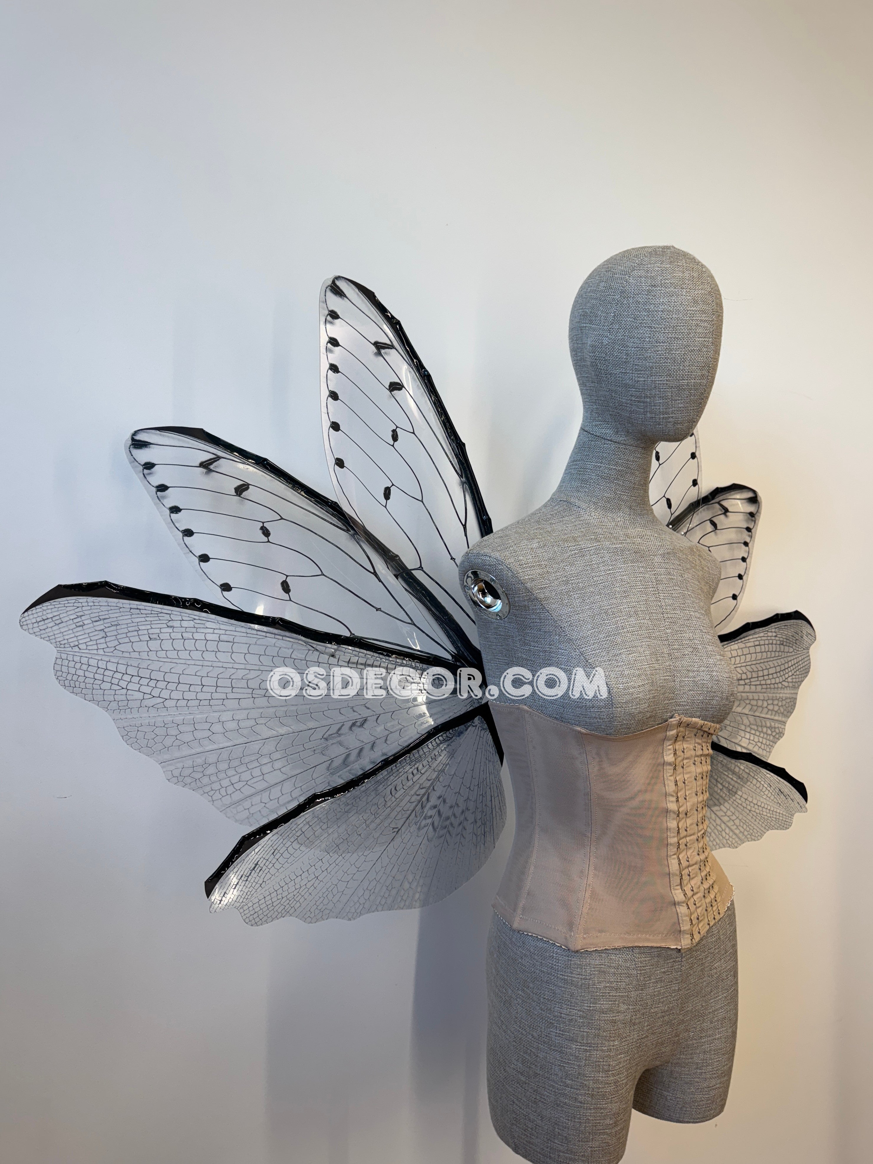 Transparent Grey Cicada Fairy Wings