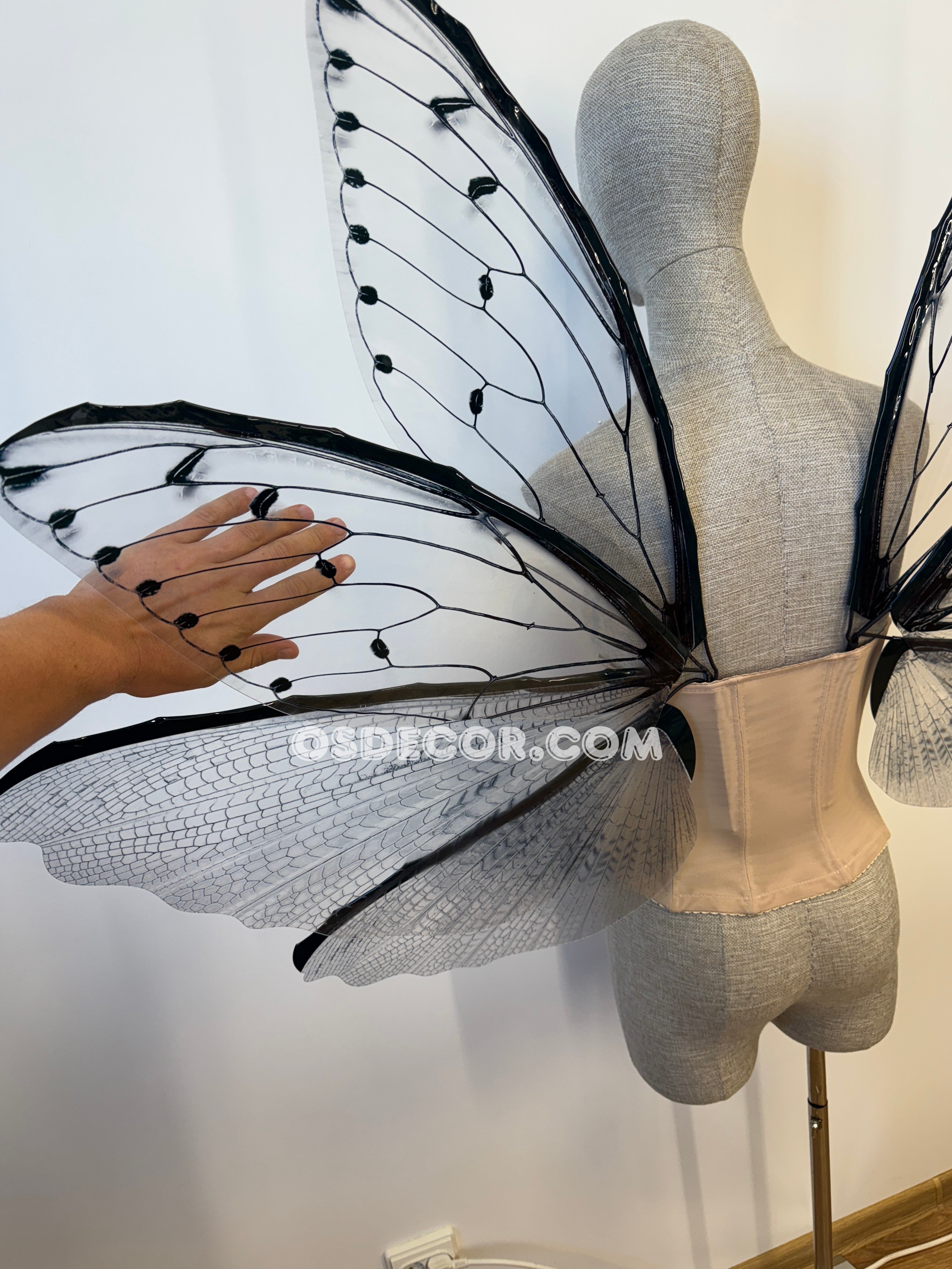 Transparent Grey Cicada Fairy Wings