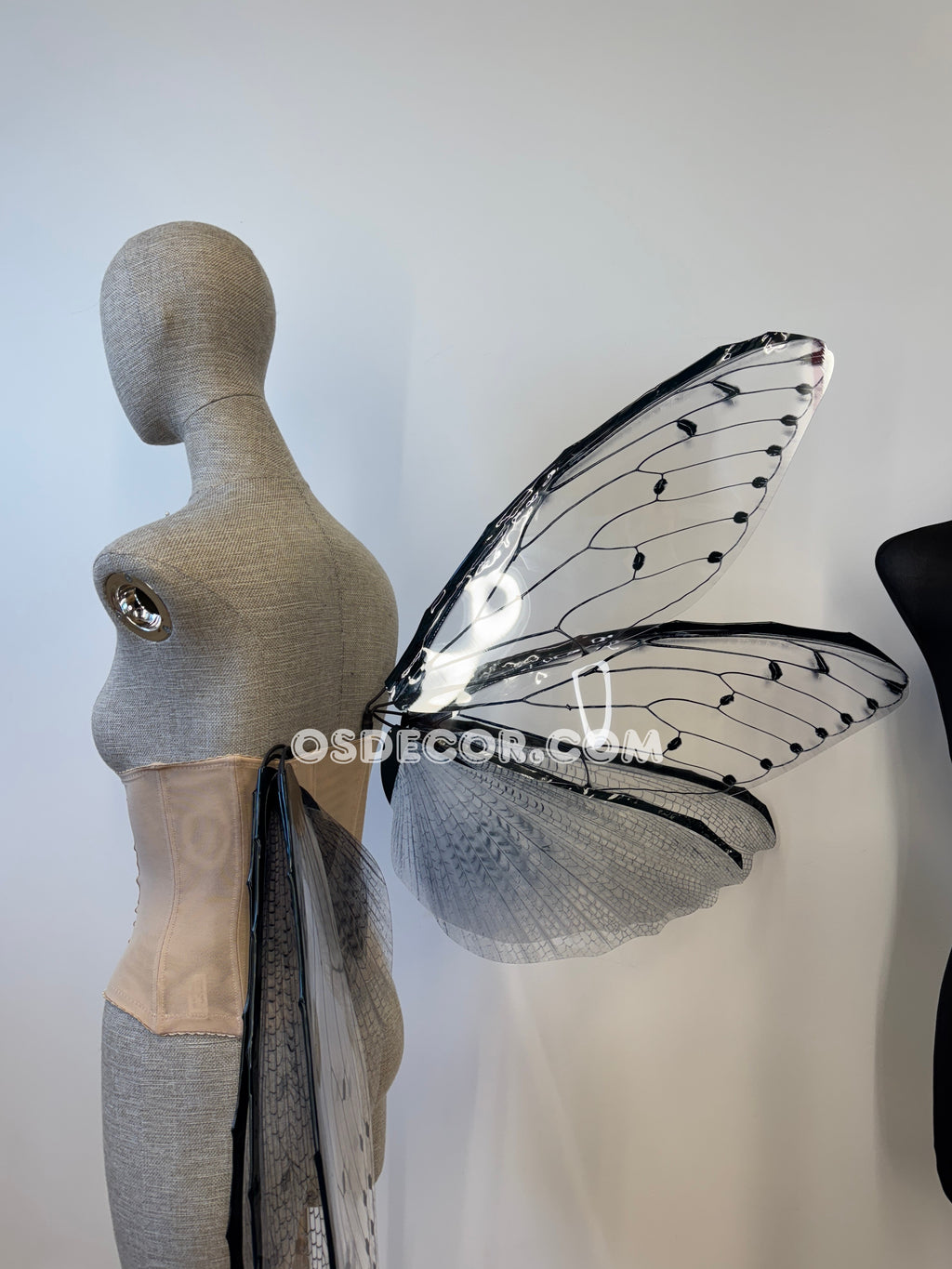 Transparent Grey Cicada Fairy Wings