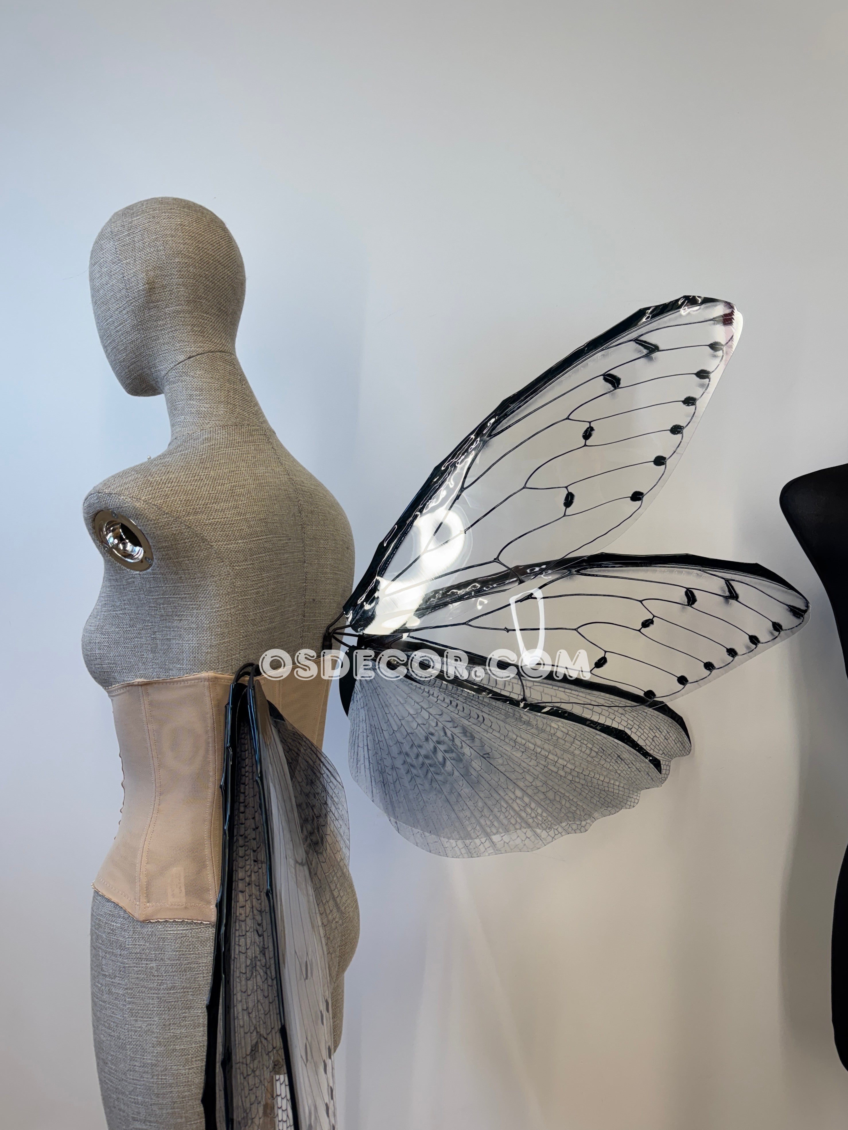 Transparent Grey Cicada Fairy Wings