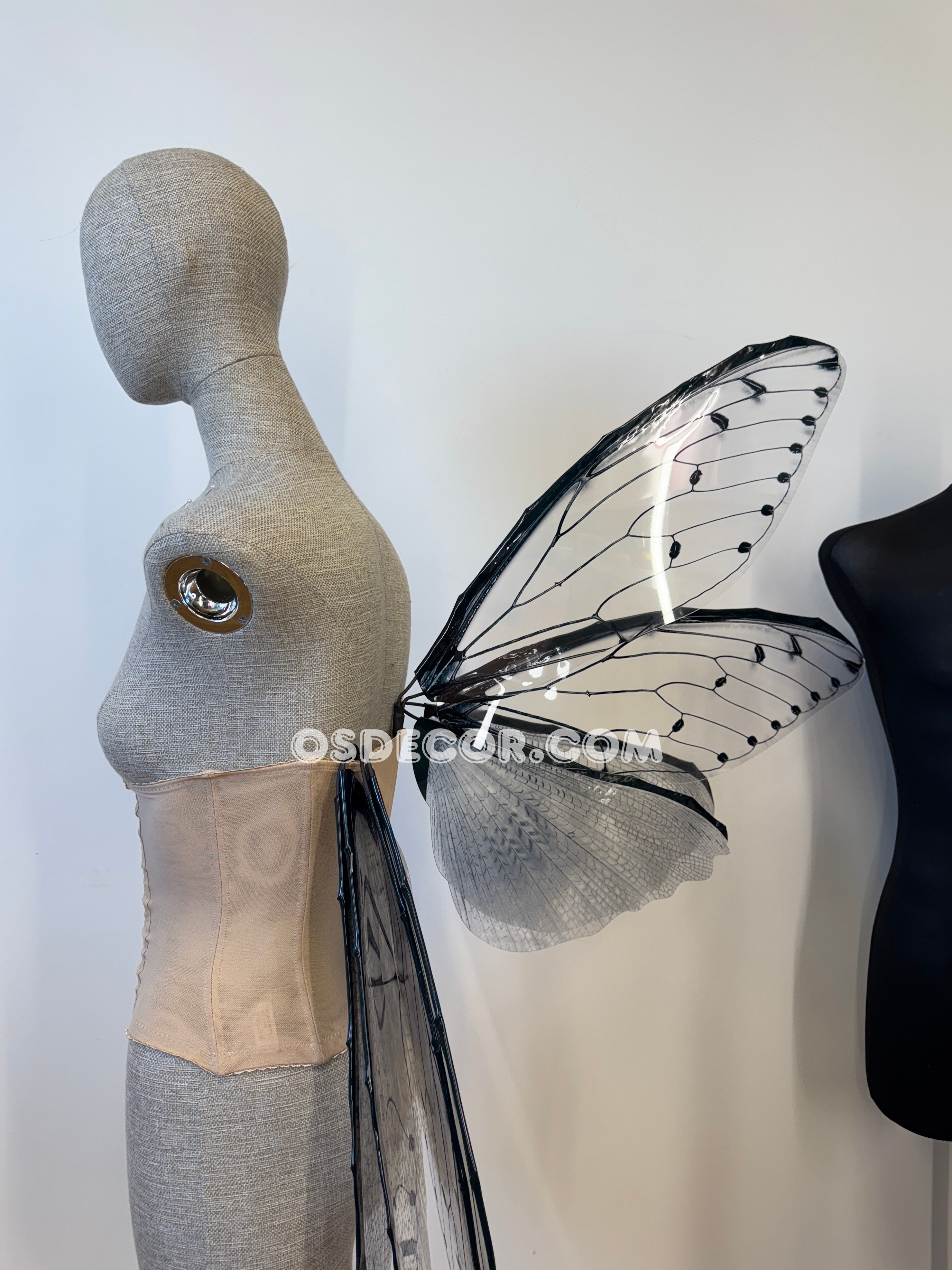 Transparent Grey Cicada Fairy Wings