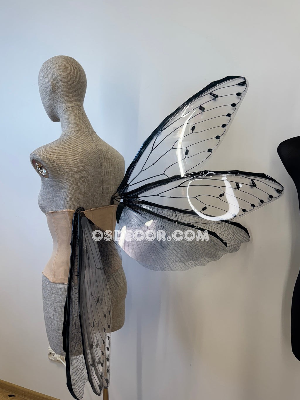 Transparent Grey Cicada Fairy Wings