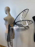 Transparent Grey Cicada Fairy Wings