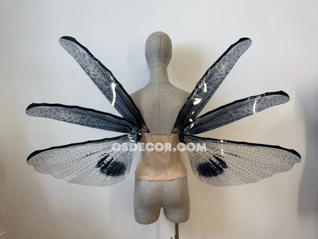 Wings of the Night Fairy