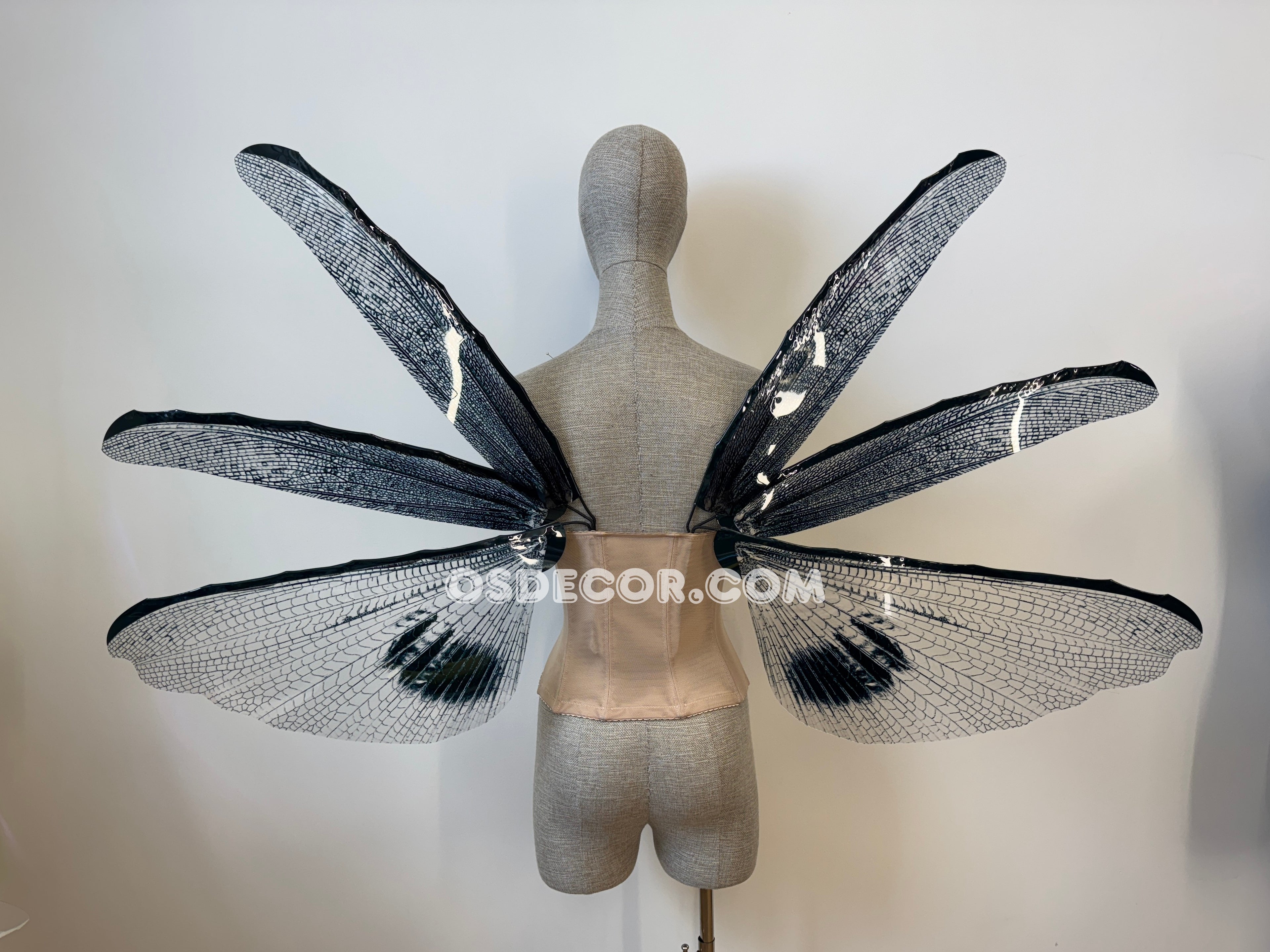 Wings of the Night Fairy