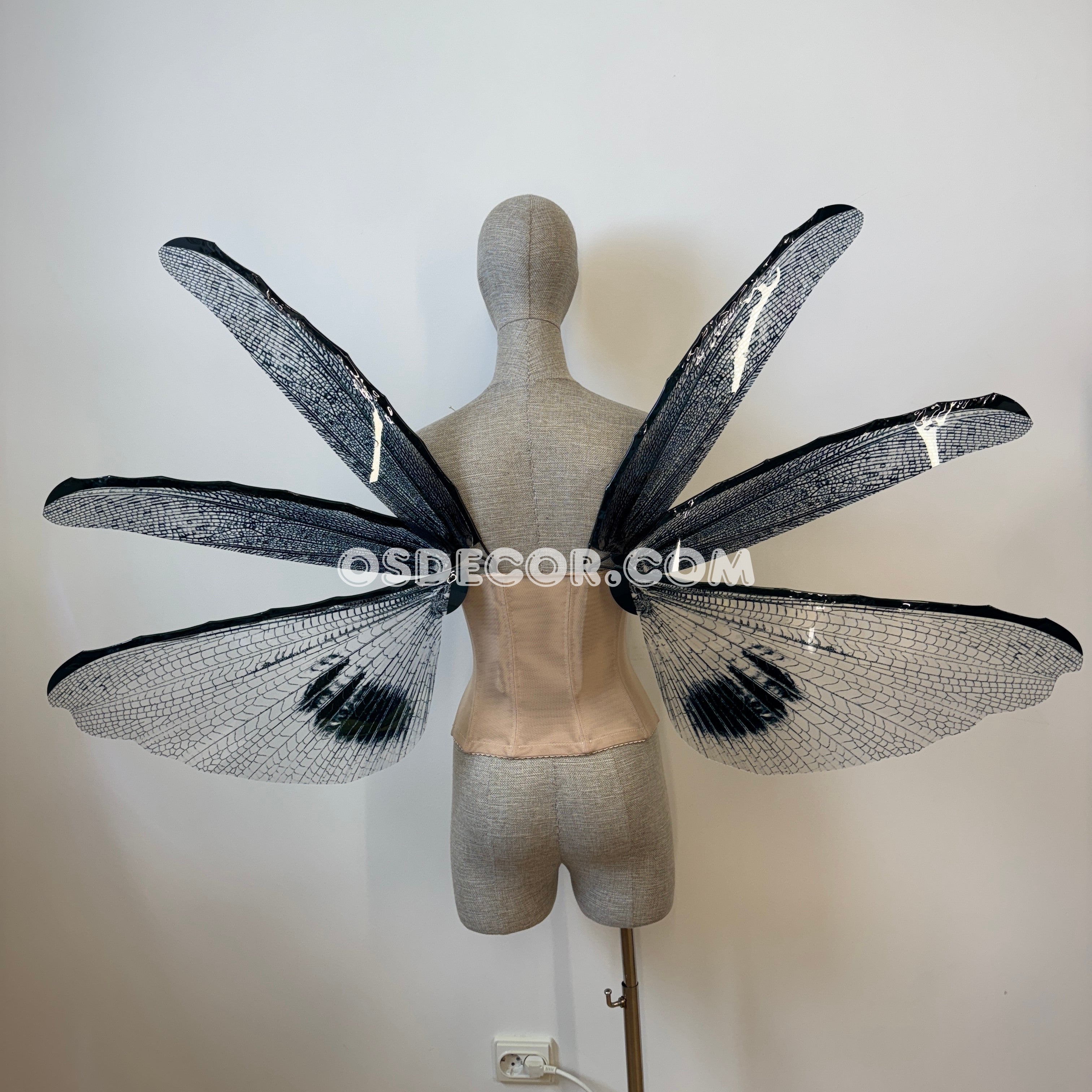 Wings of the Night Fairy