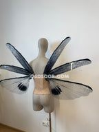 Wings of the Night Fairy