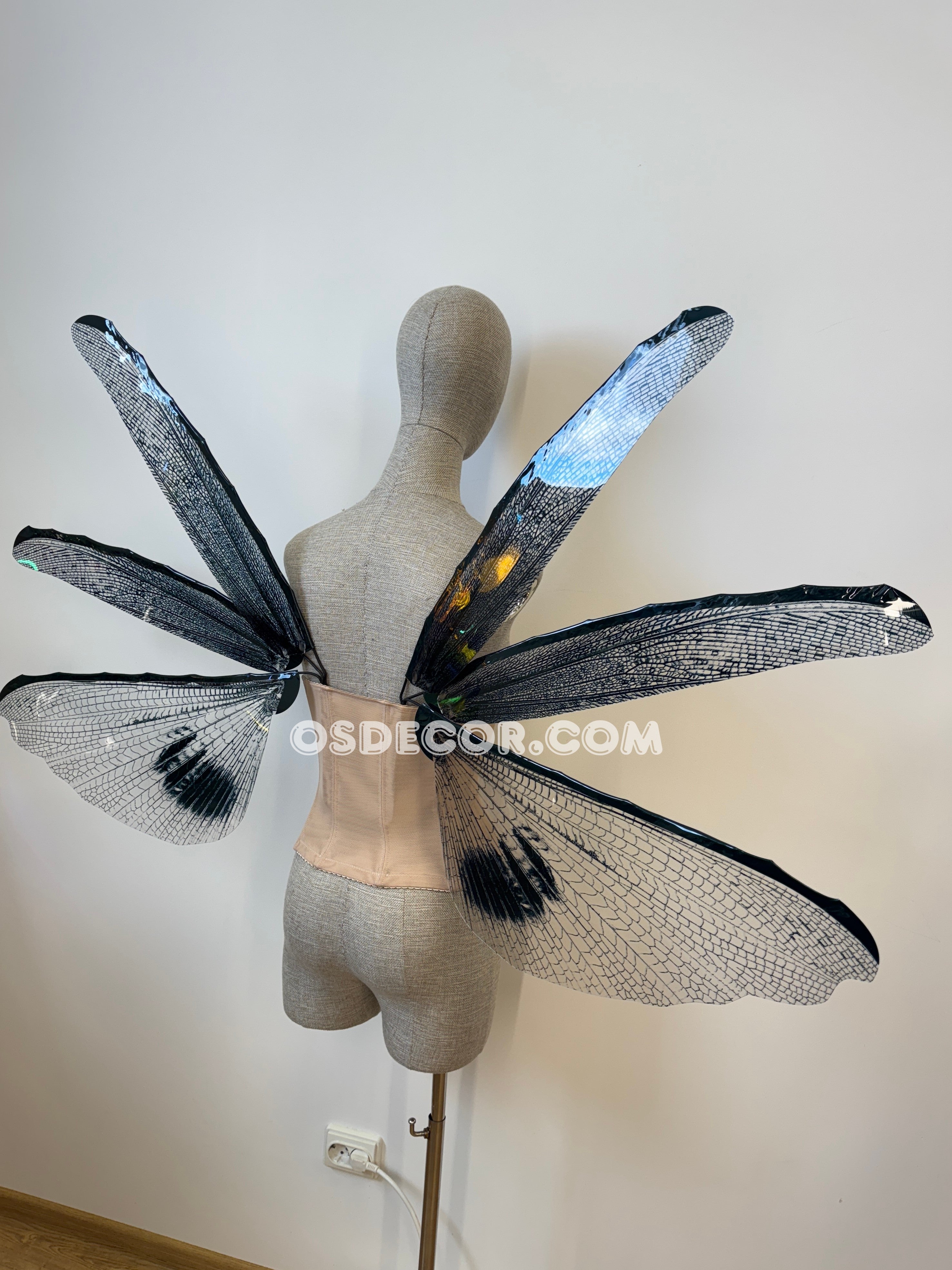 Wings of the Night Fairy