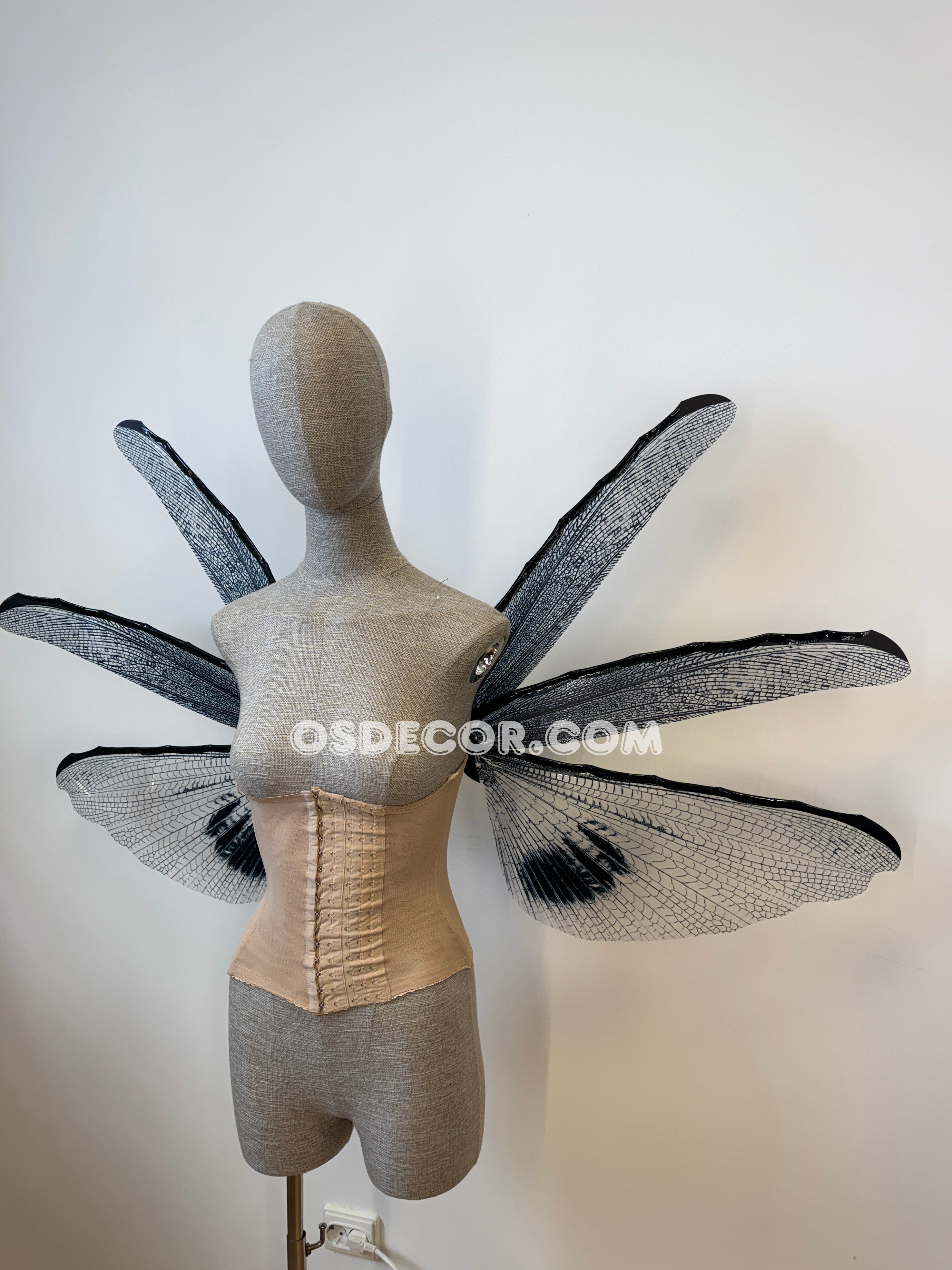 Wings of the Night Fairy