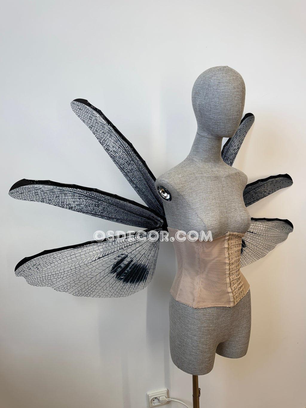 Wings of the Night Fairy