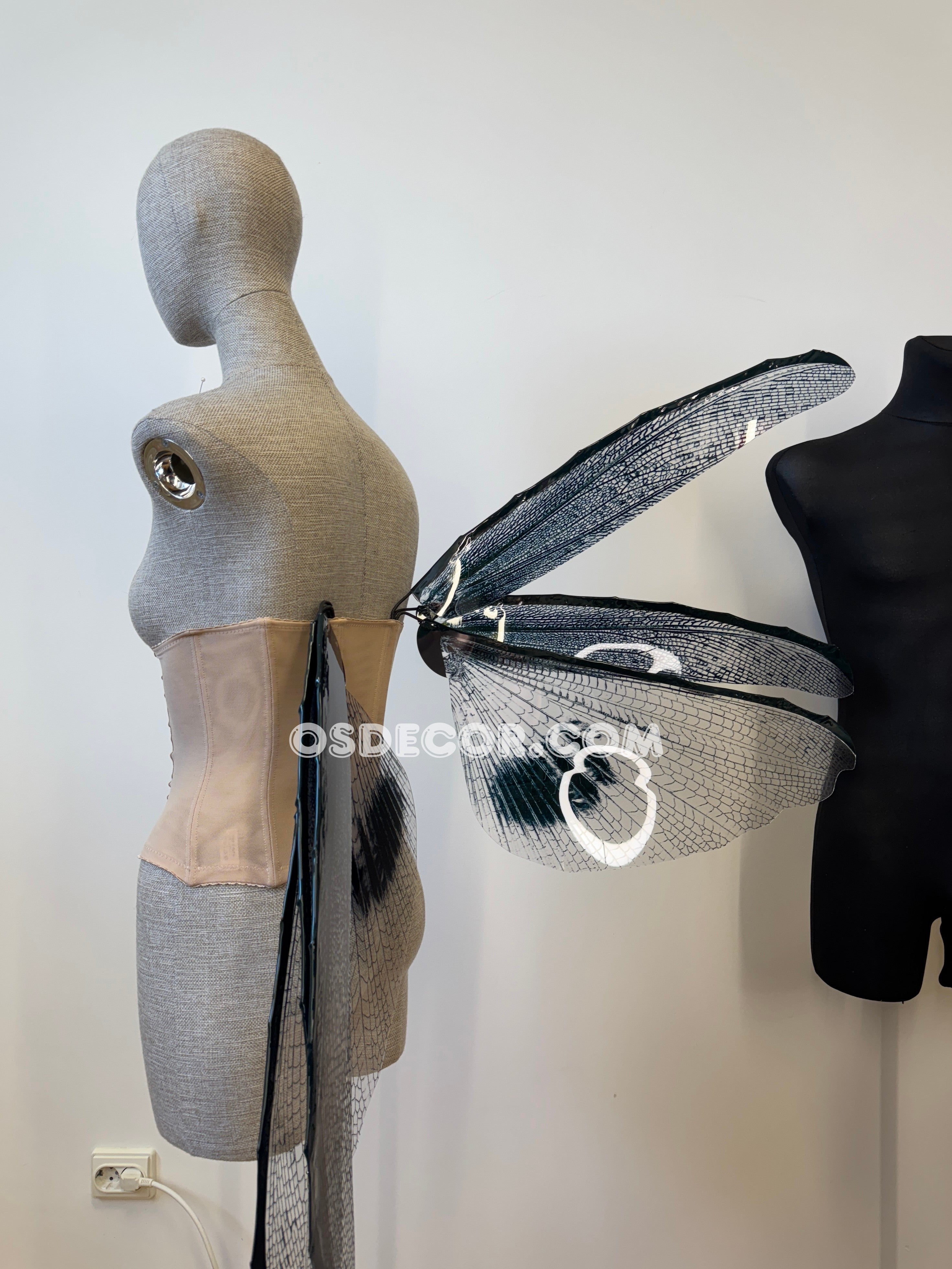 Wings of the Night Fairy