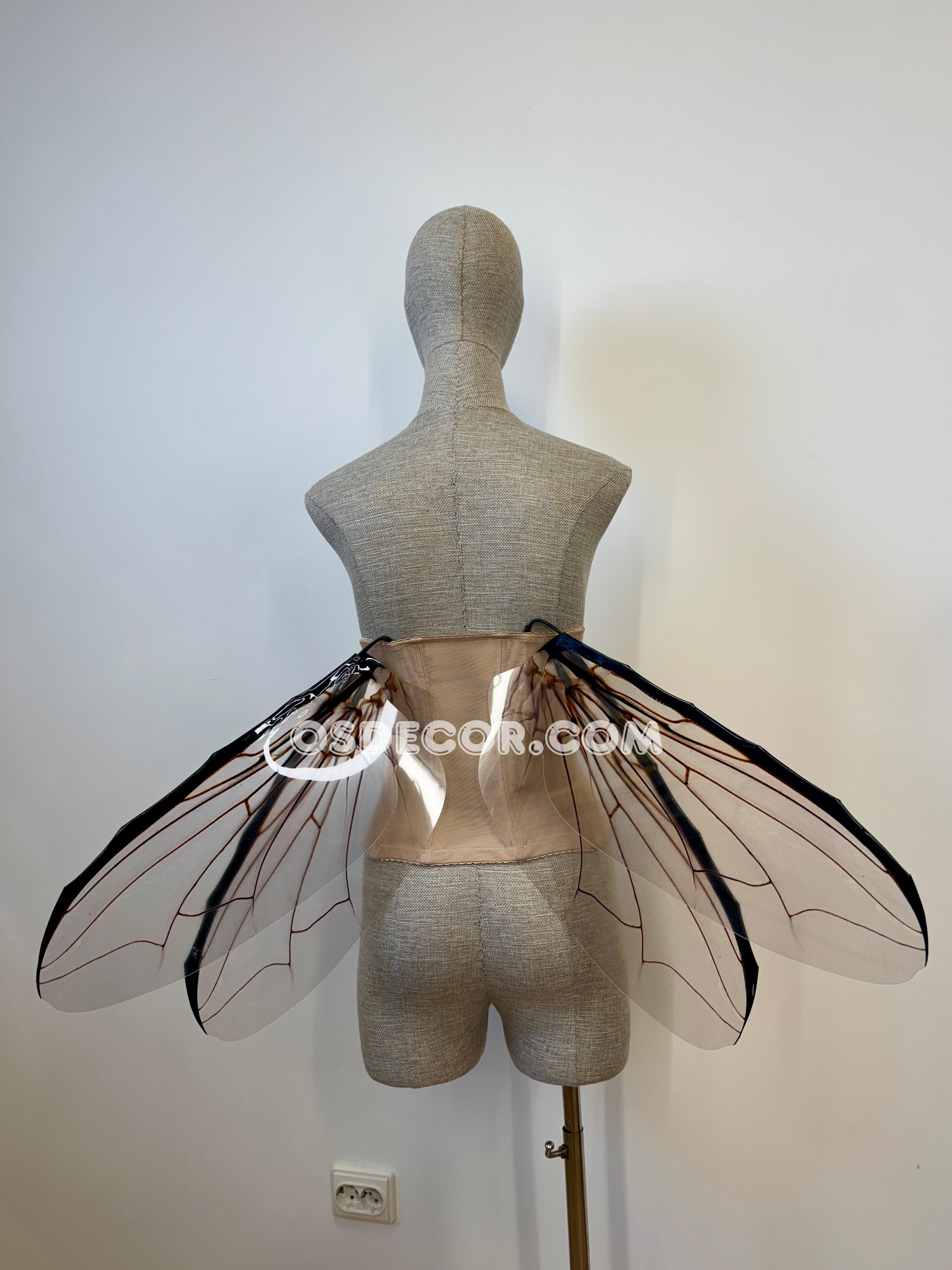 Grey Transparent Wings of a Fly