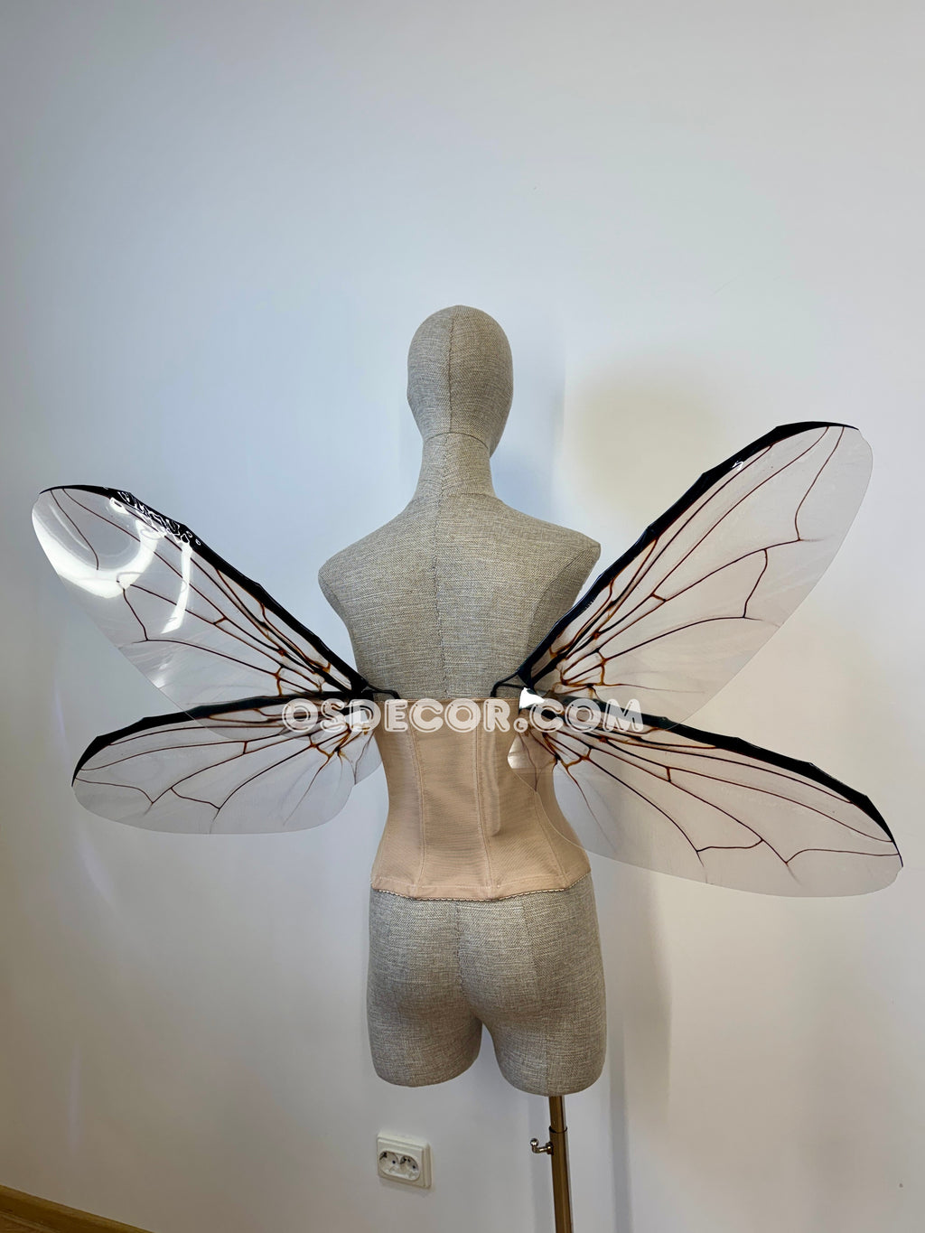 Grey Transparent Wings of a Fly