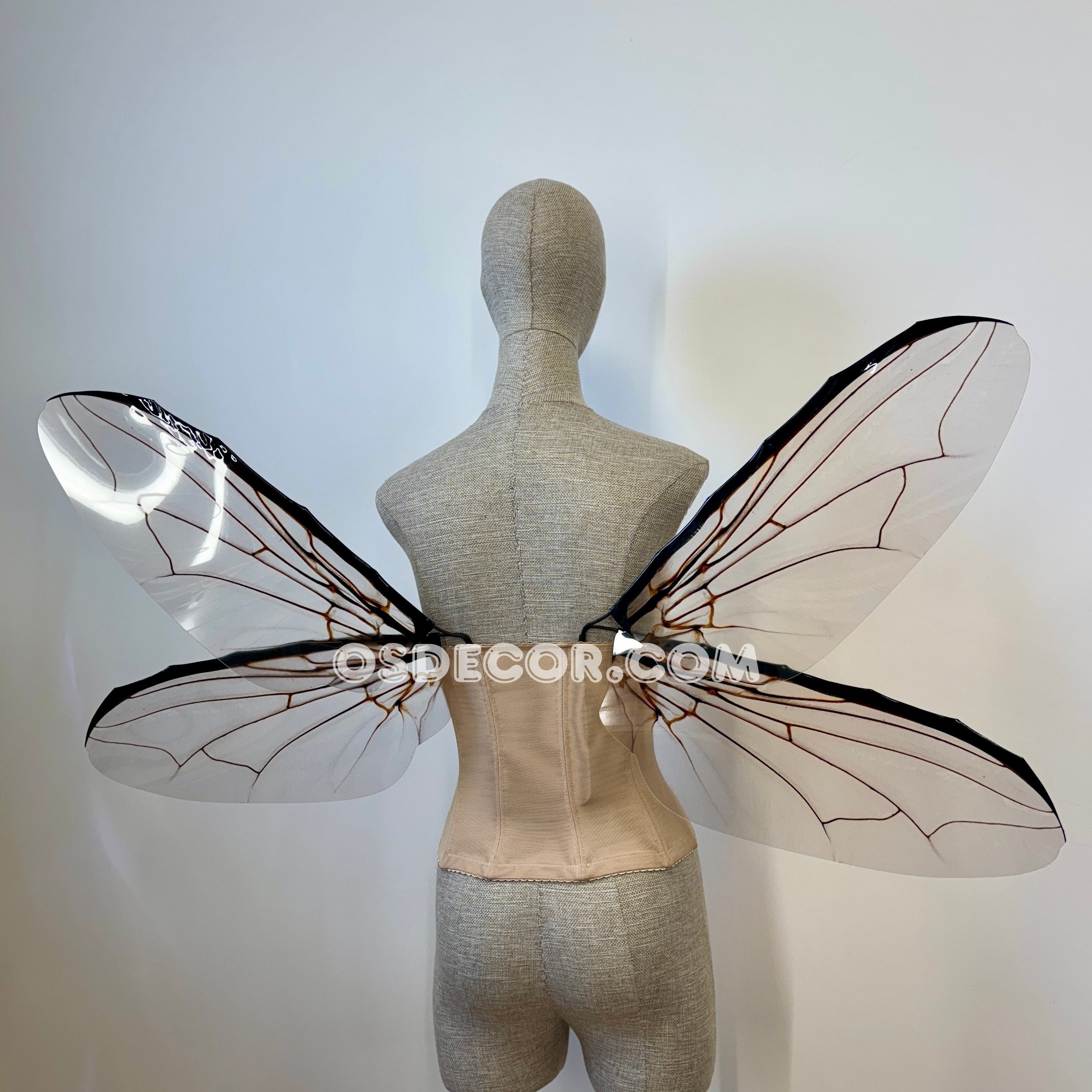 Grey Transparent Wings of a Fly