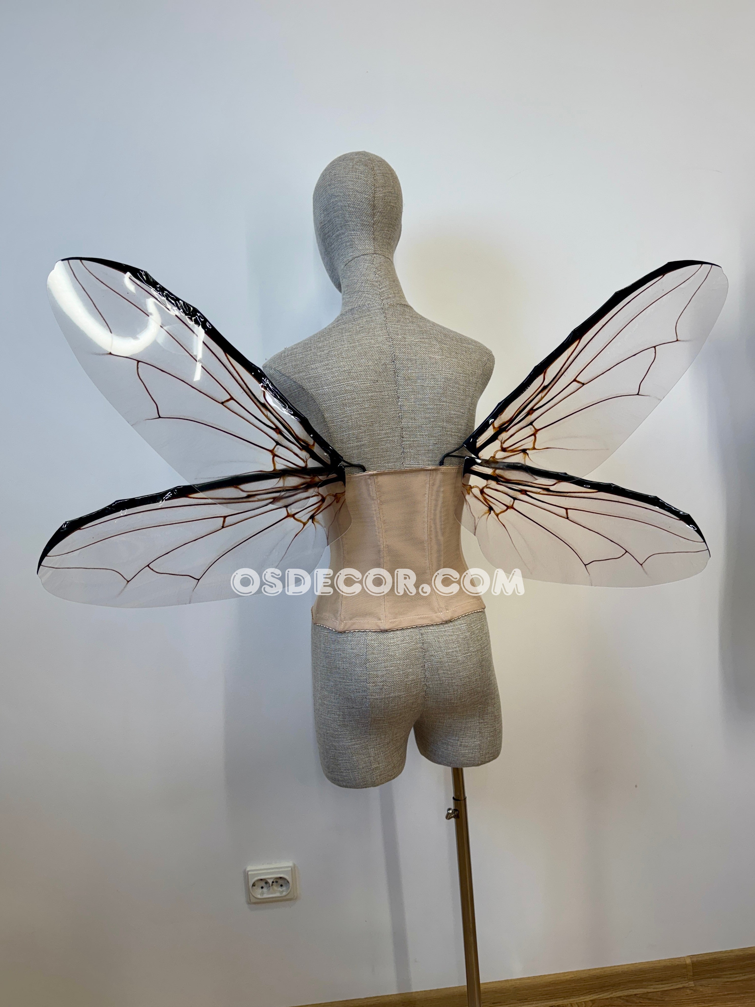 Grey Transparent Wings of a Fly